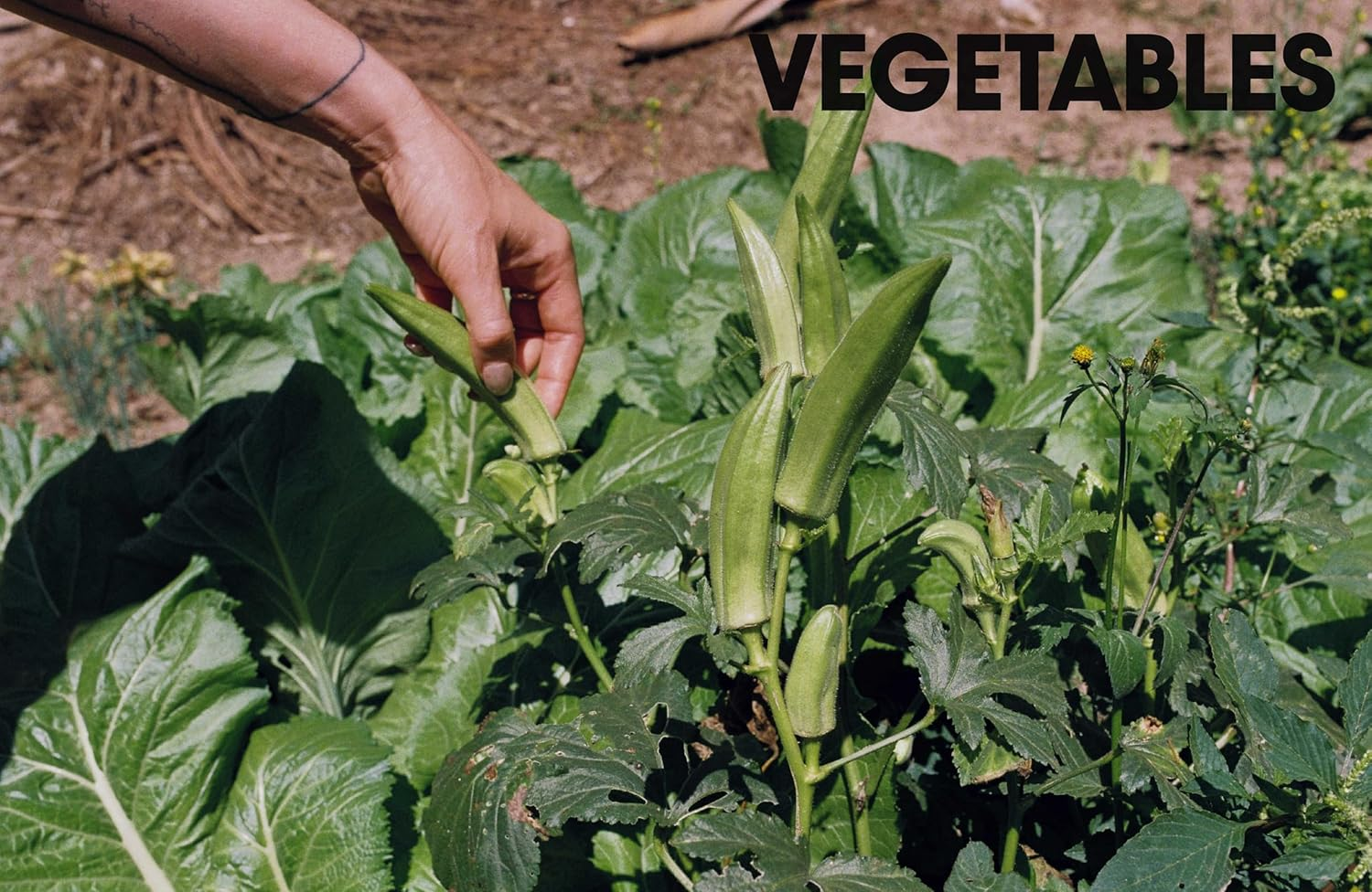 FUS&Atilde;O: Untraditional Recipes Inspired by Brasil image number 3