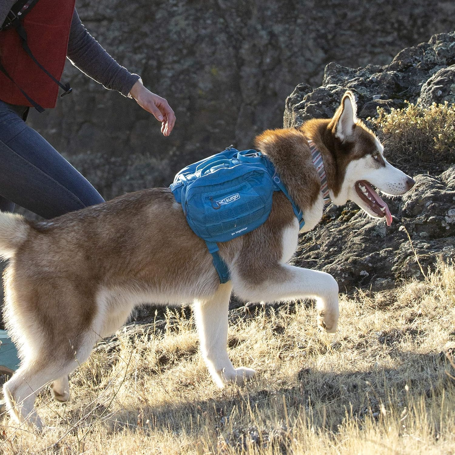 Kurgo Backpack Dog Harness Pack Add-Ons, Tactical MOLLE Pouch for Harnesses, Detachable Service Dog Pouches, RSG Pack Pannier (Coastal Blue) image number 6