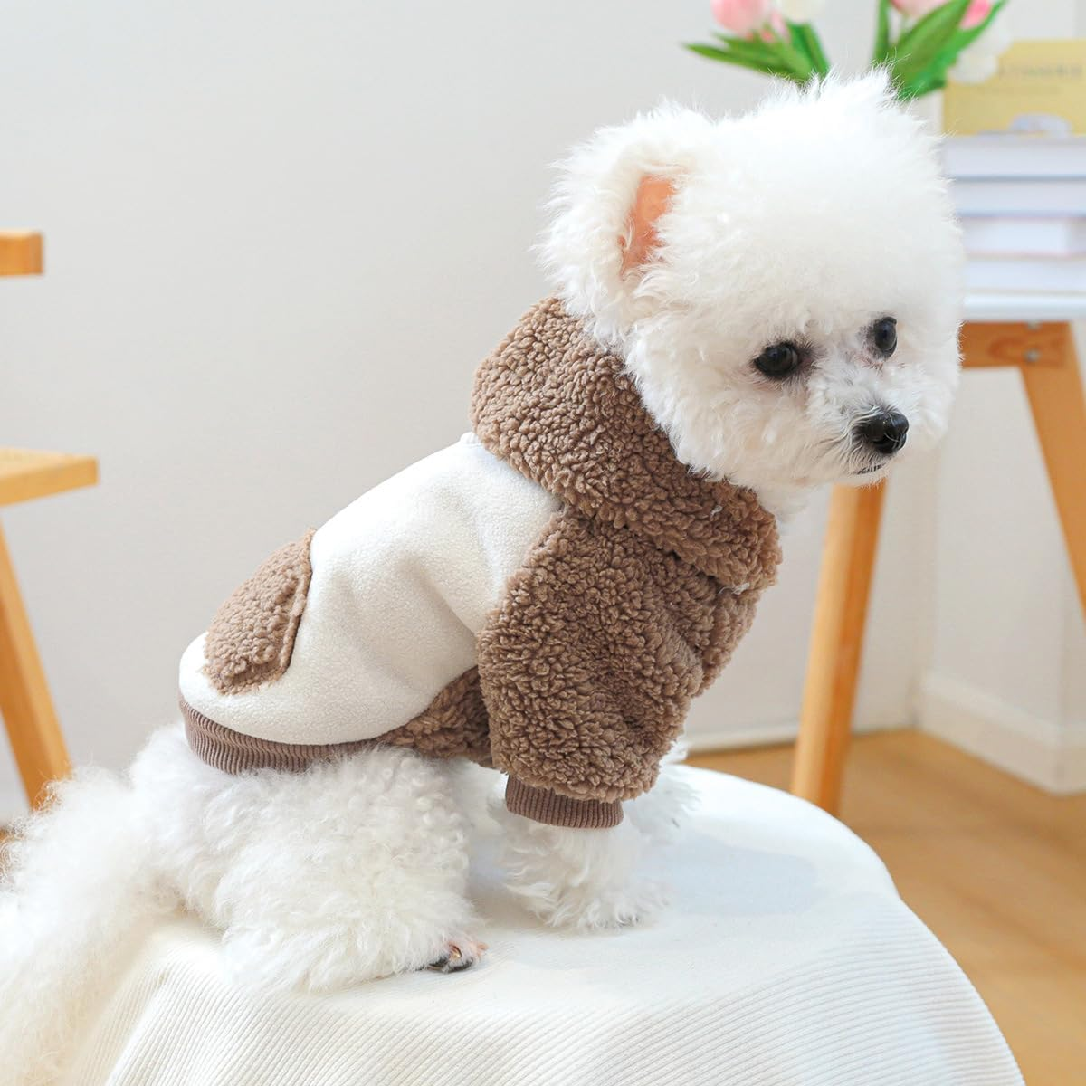 Fuzzy Dog Clothes for Small Doggie Hoodie Thermal Coat Doggie Clothes for Puppy Boy Girl Dog Jacket Sweater Outfit (Coffee, M)