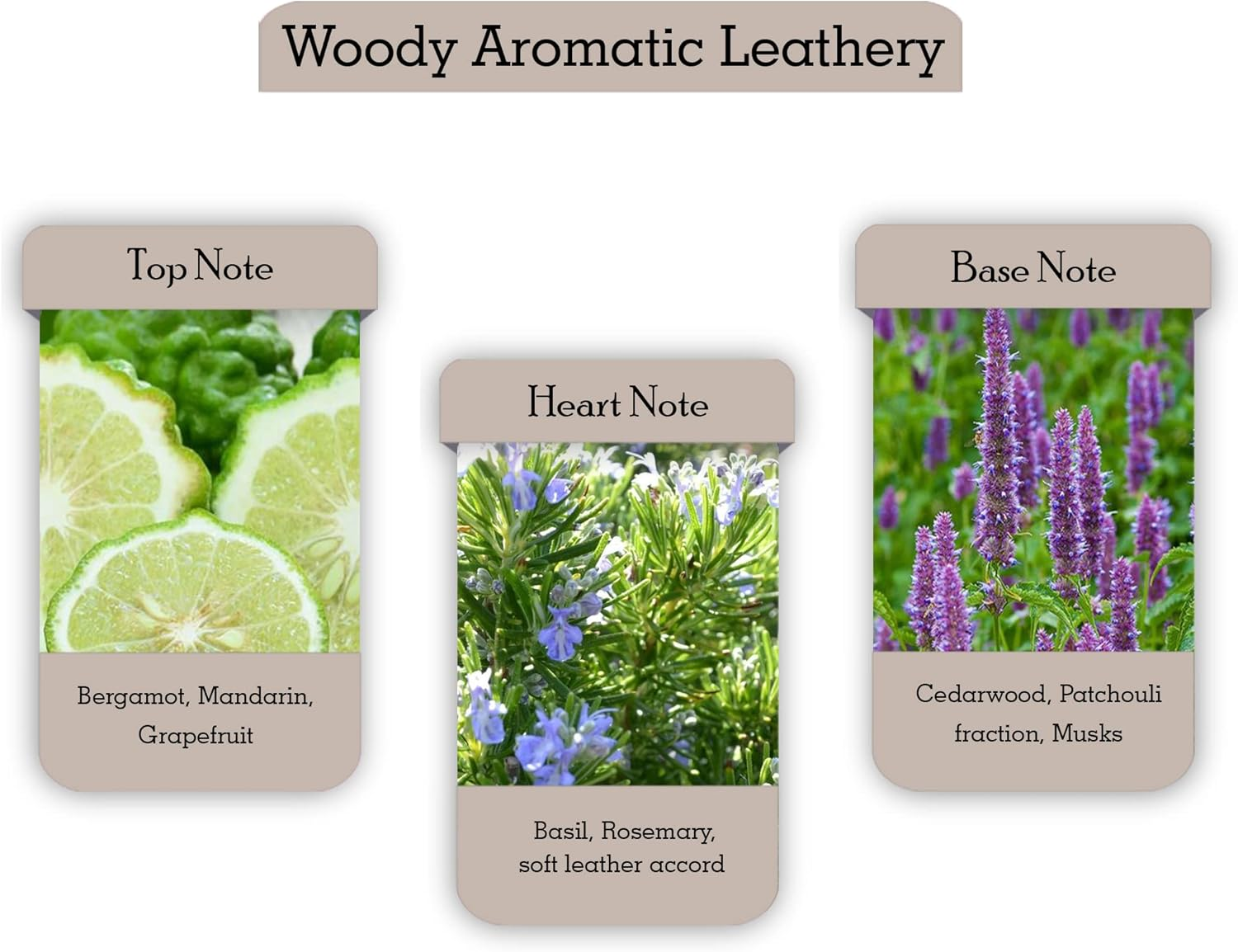 Salvatore Ferragamo Bright Leather Eau De Toilette Spray for Men 50 Ml image number 5