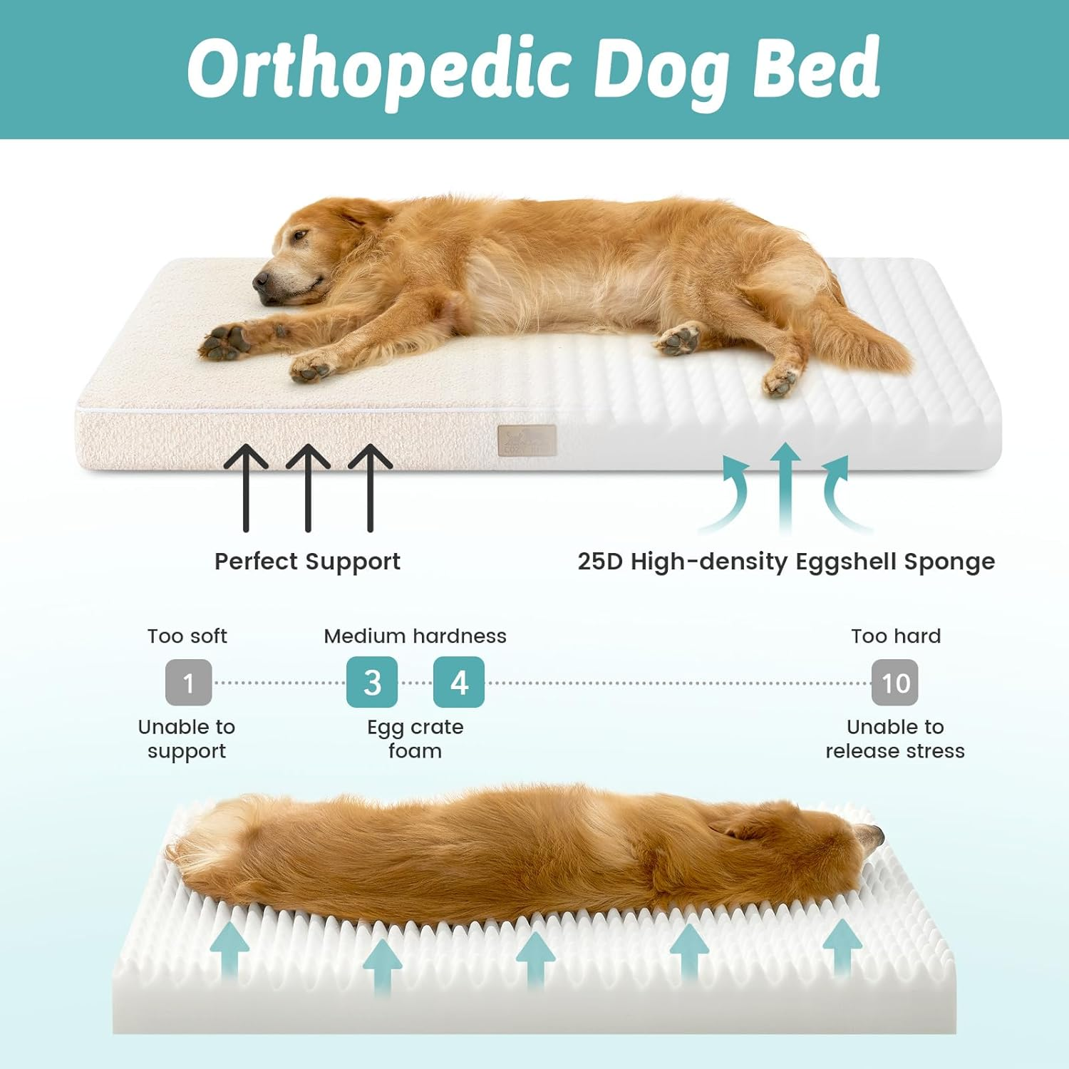 COZY KISS Orthopedic Dog Bed for Large Dog, Xlarge Removable Washable Cover with Waterproof Lining & Anti-Skid Bottom, Rectangular Foam Pet Bed, XL Size, 44X32X3 Inch, Beige image number 3