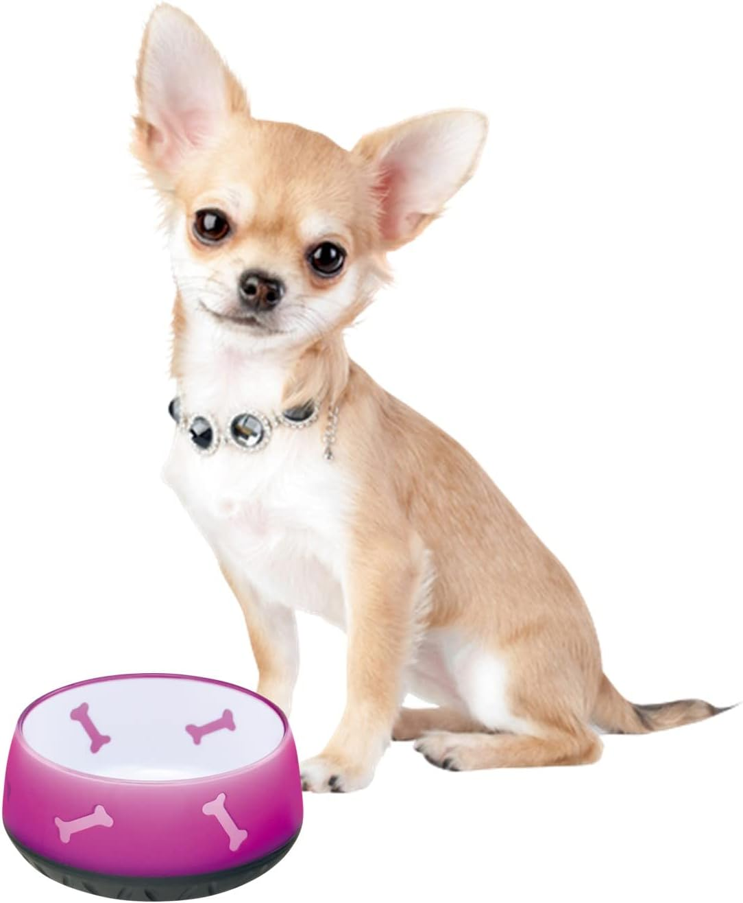 Utopia Dog Dinnerware Pet Bowl Ruby Small Size - Sapphire image number 6