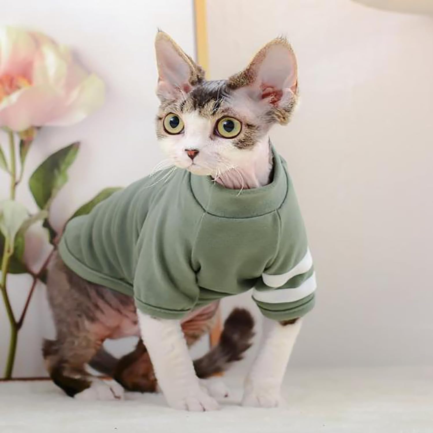 IUOUTG Hairless Cats Clothes Breathable Basic Cat T-Shirts Spring and Summer High Elasticity Kitten Shirts round Collar Cat Vest Clothes for Cats Small Dogs image number 2