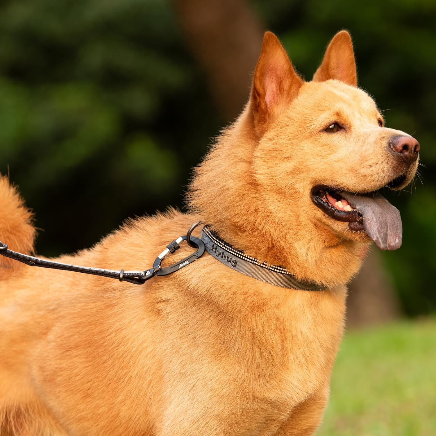 Hyhug Design Double-Color Nylon Jacquard Webbing, Heavy-Duty Classic Basic Collar, Quick Release Buckle, Specially Designed for Gentle Breeds Dogs. (Medium, Ultimate Gray) image number 4