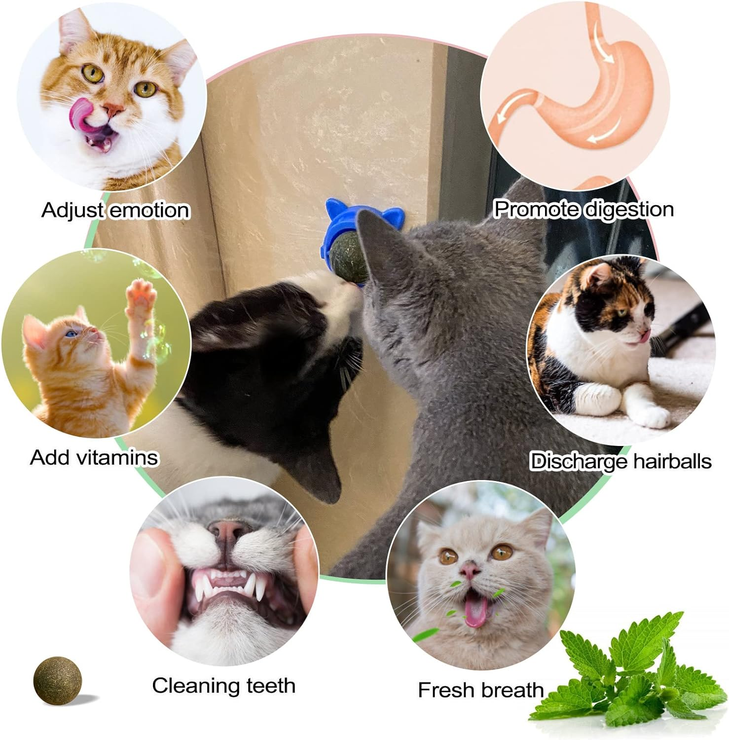 3 Catnip Balls, 360 &deg; Rotatable Cat Wall Snacks, Edible Interactive Cat Toys, Kitten Chew Treats for Cleaning Teeth image number 6