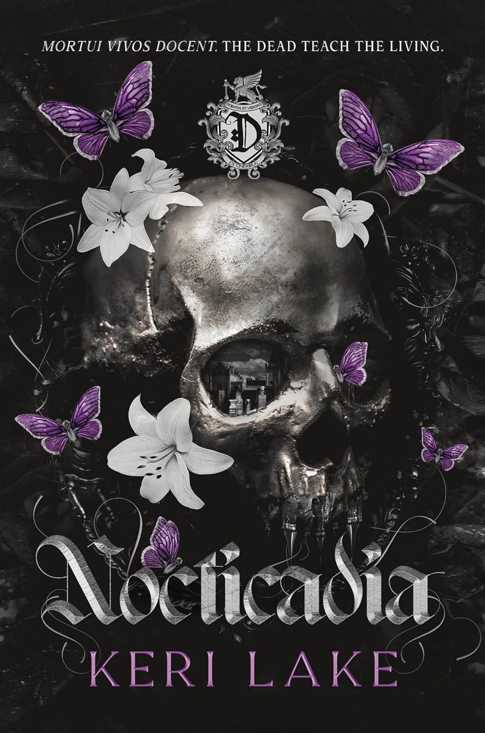 Nocticadia Nocticadia