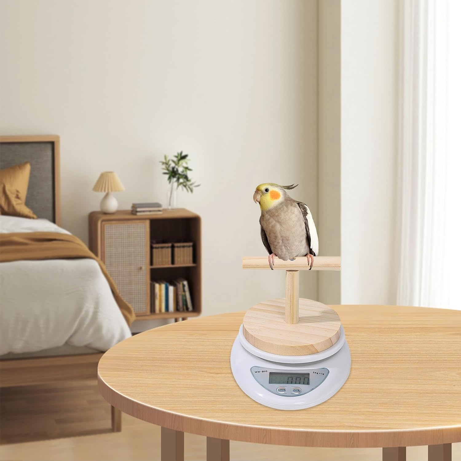 Bird Scale with Perch - Small Animal Scale with Perch for Pet Bird | High Accuracy, Convenient Digital Weighing Tool for Weight Changing Monitoring image number 5