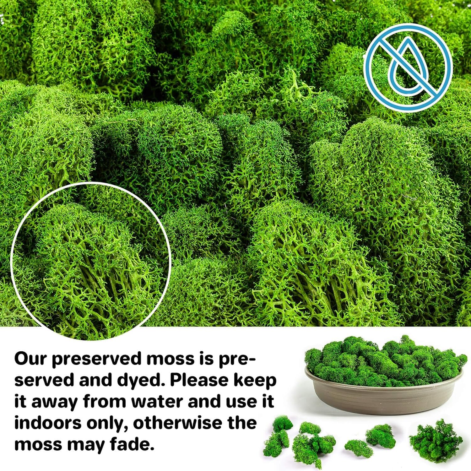 Sukh Preserved Moss - 3.5 OZ Moss for Crafts Faux Moss Decor Natural Green Moss DIY Art Wall Floral Moss Terrariums Gardenning Decor Wedding Easter Table Home Office Art Landscape Garden Decoration image number 1