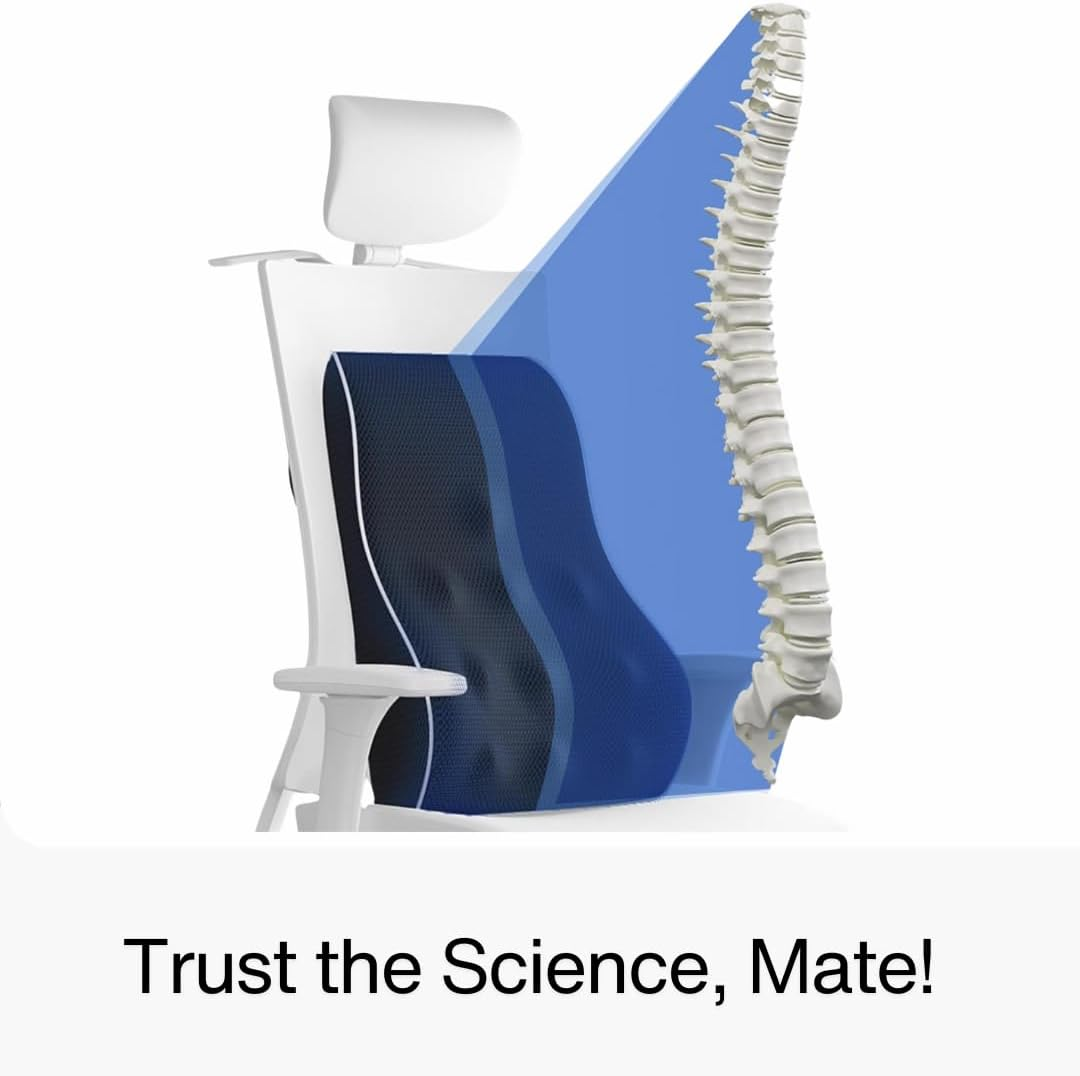 Ergonomic Lumbar Support Pillow for Office Chair, Car Seat, and Travel | Memory Foam Back Cushion for Pain Relief and Posture Correction | Ideal for Home, Office, and Car Use image number 4