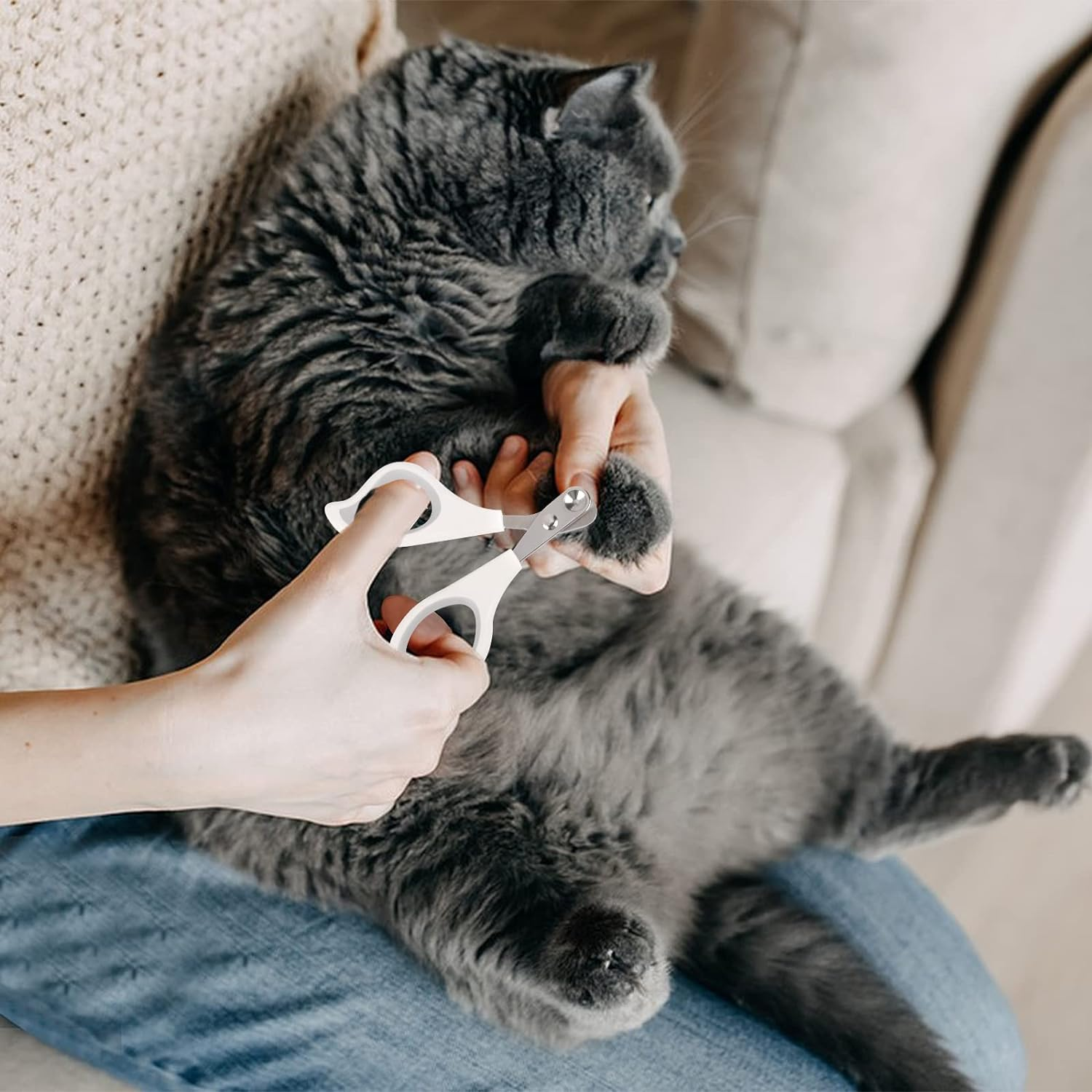 KALIONE Cat Nail Clipper and Trimmers, Cat Claw Clippers, Professional Circular Cut Hole Cat Nail Trimmers Avoid over Cutting Pet Nail Clippers Grooming Tool for Cat image number 2