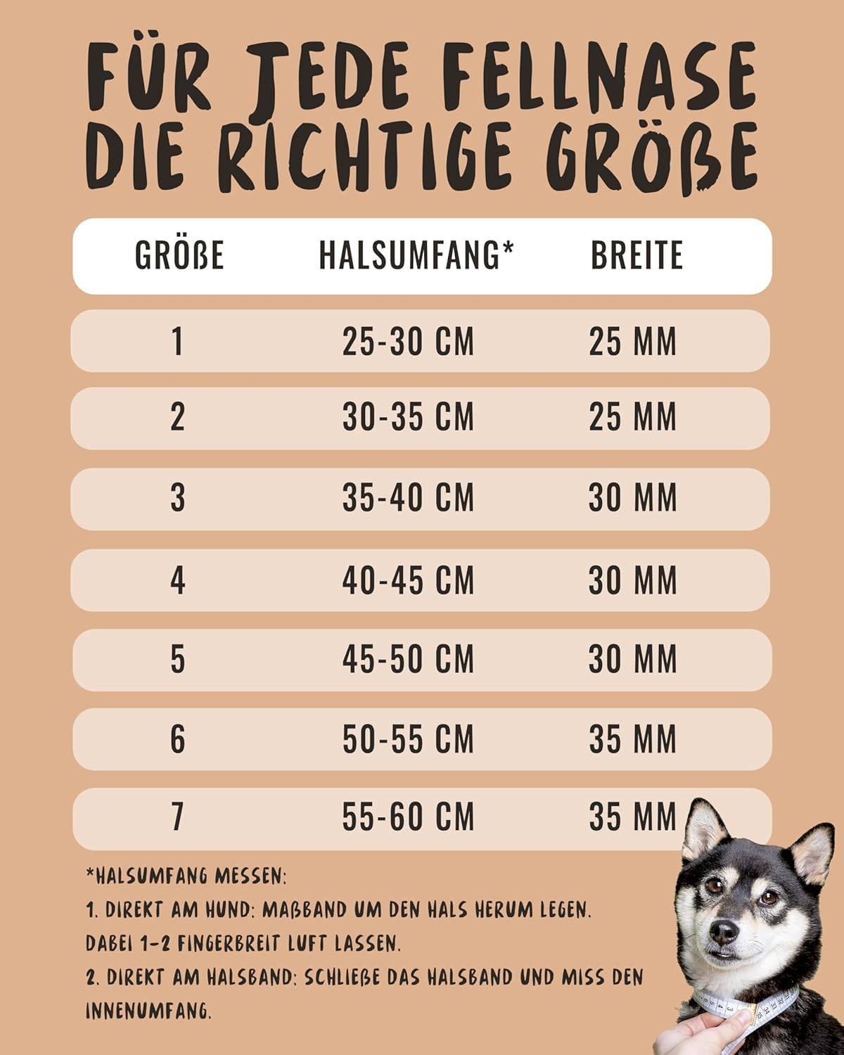 Rudelk&ouml;nig Paola Dog Collar - Adjustable Nylon Dog Collar - Reflective Dog Collar Medium Dogs in Black image number 5