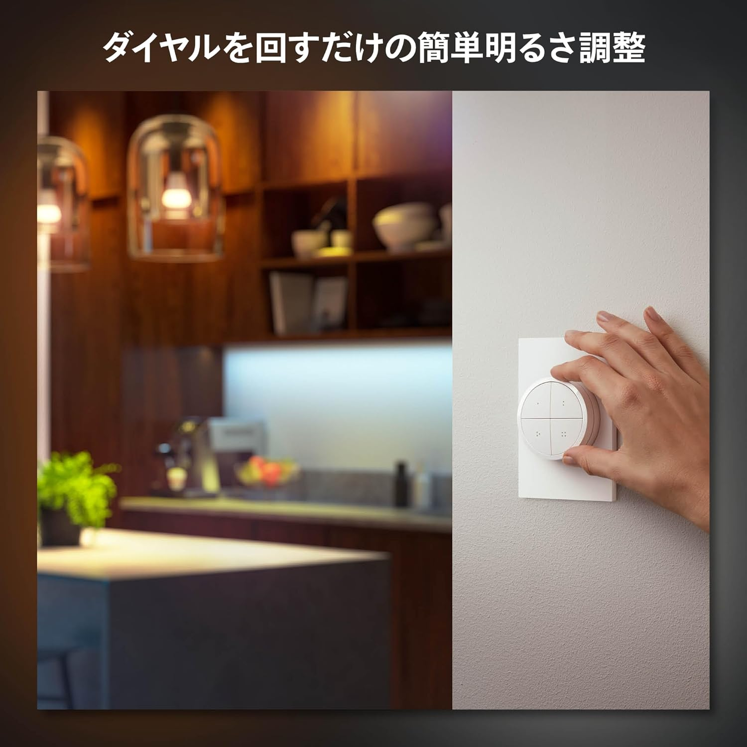 Philips Hue Tap Dial Switch