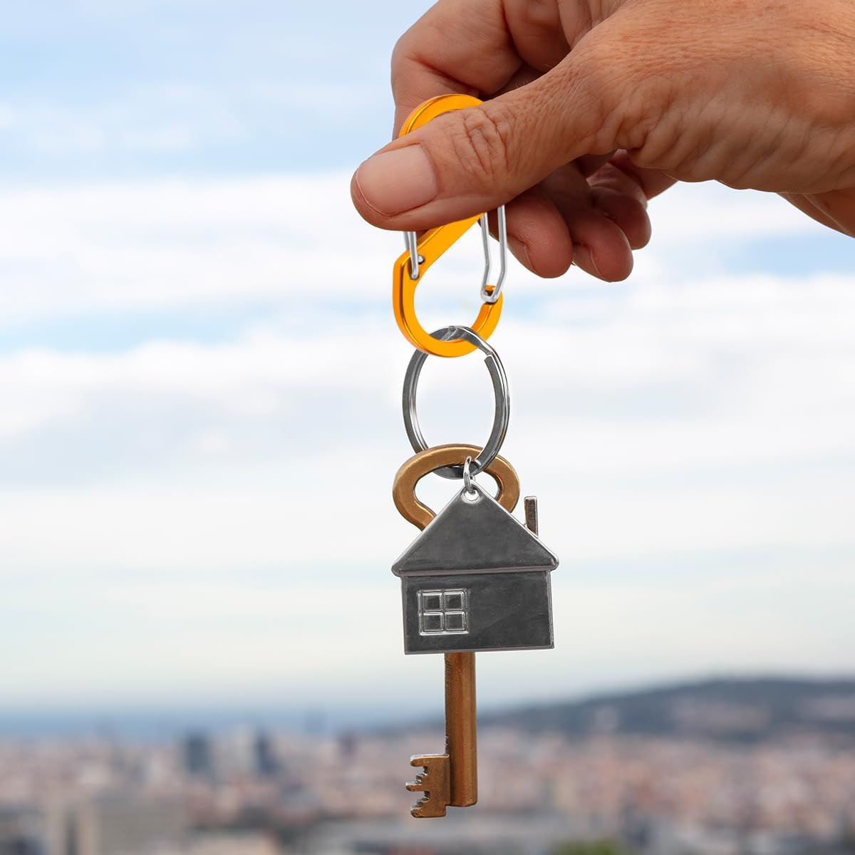 NILLOS Colorful Alloy Snap Hook, 12 PCS S-Shape Dual Clips Mini Carabiners for Outdoor Sports, Camping, Mountaineering, and Hiking (Multiple Colour)