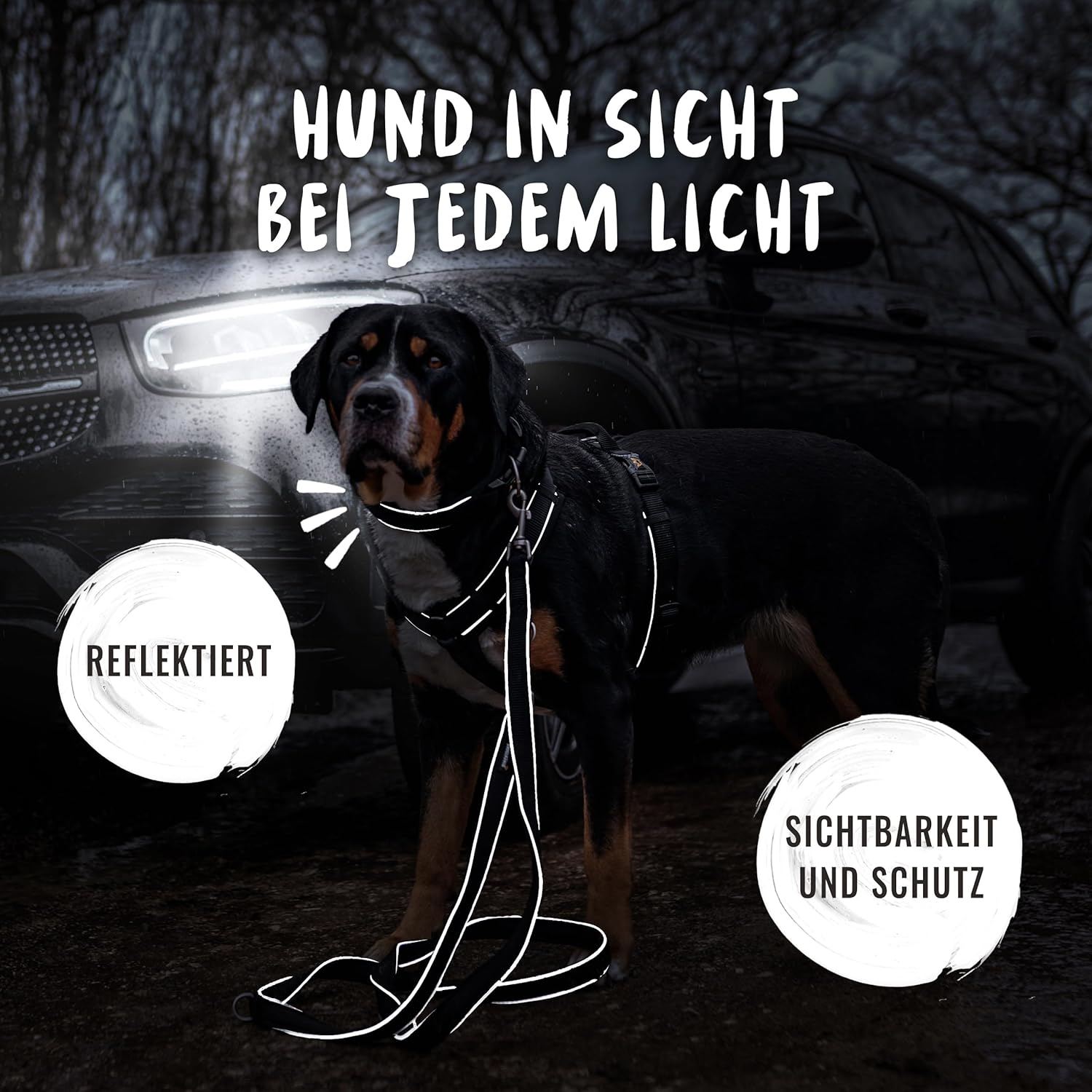 Rudelk&ouml;nig Paola Dog Collar - Adjustable Nylon Dog Collar - Reflective Dog Collar Medium Dogs in Black image number 6