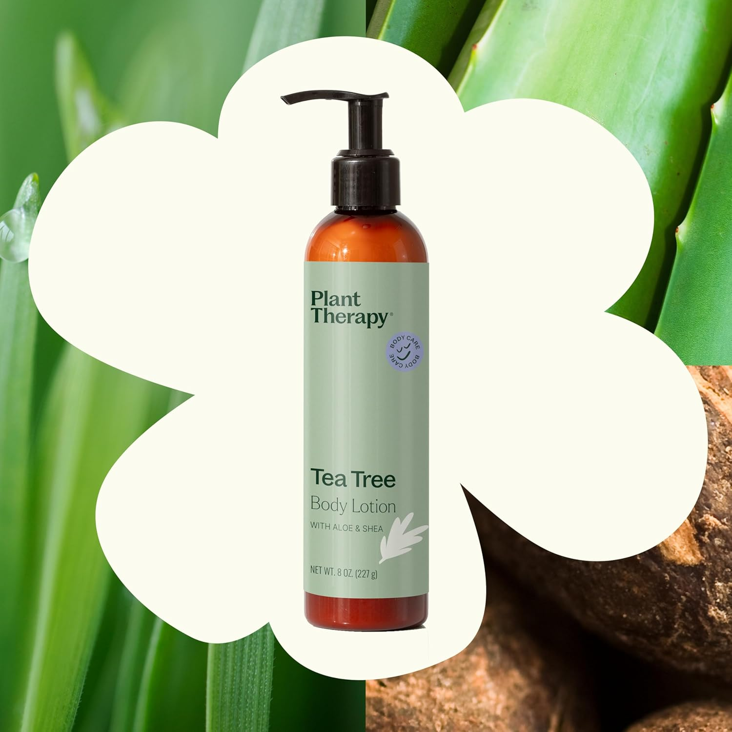 Plant Therapy Tea Tree Body Lotion with Aloe and Shea, Hydrate and Nourish Skin with Botanical Ingredients, 8 Oz image number 3