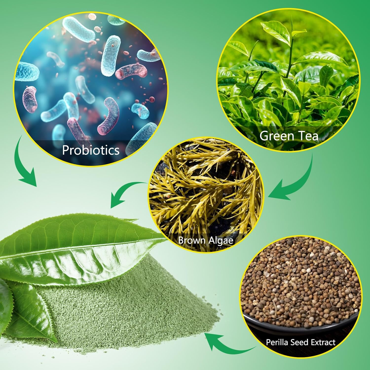 AFITMOE Dog Teeth Cleaning Powder,Dog Dental Powder with Probiotics Effectively Remove Tartar,Plaque,Stains,Bad Breath,Dog Teeth Cleaning Power Support Oral Care for Small,Medium,Large Dogs,4.23Oz image number 6