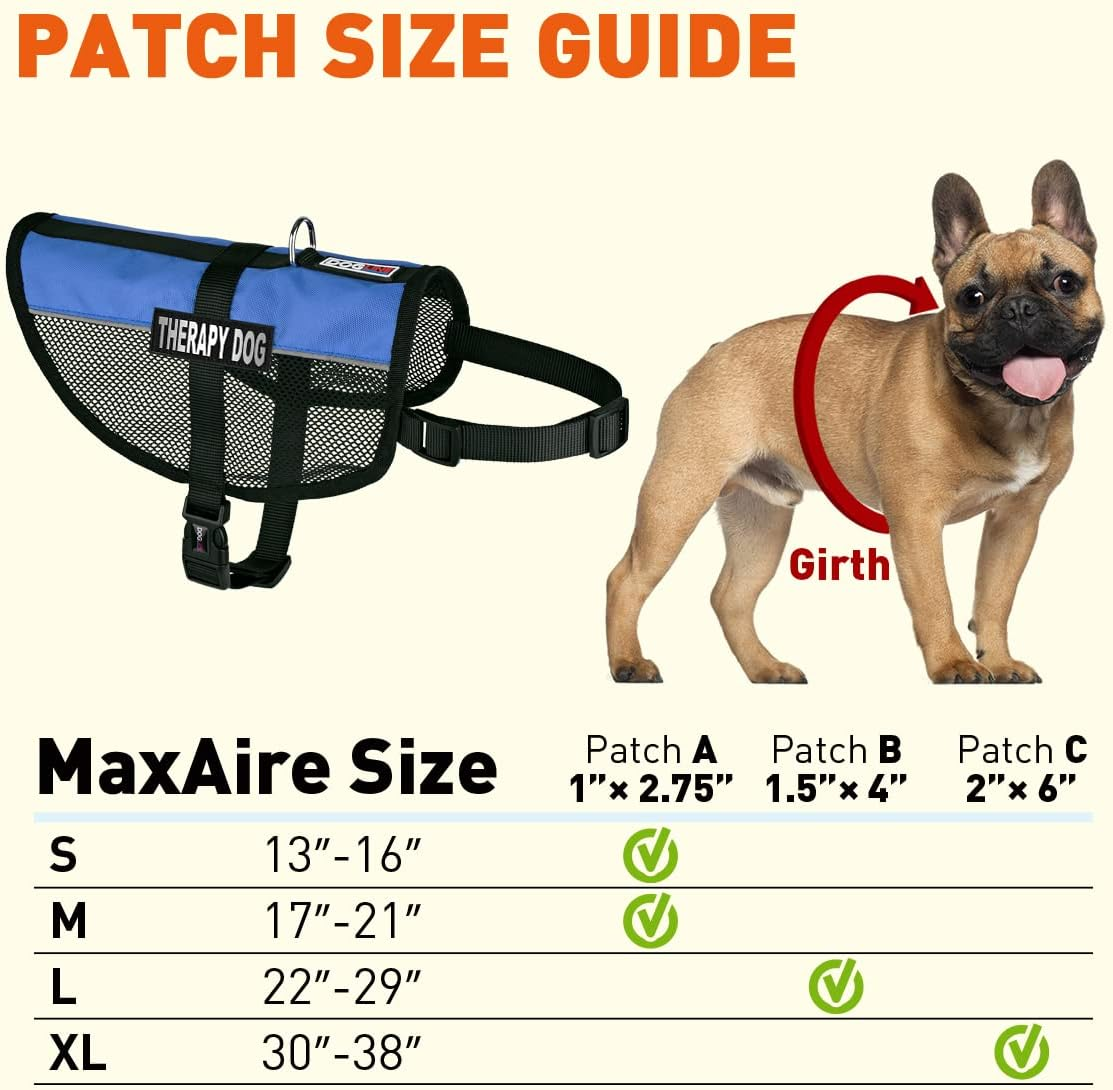 Dogline Maxaire Multi-Purpose Mesh Vest for Dogs and 2 Removable Therapy Dog Patches, Small, Blue image number 5