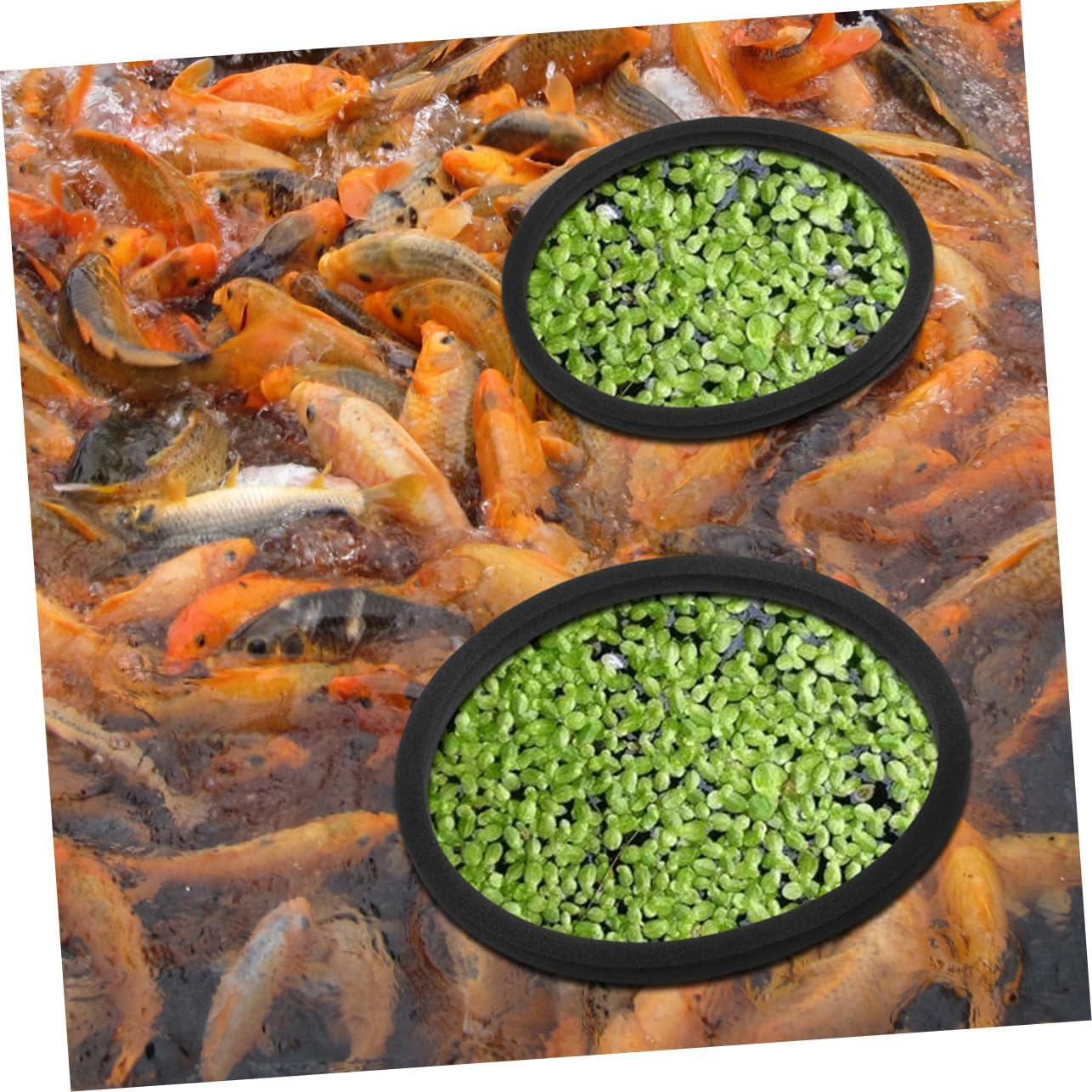 ROMISBABA 20Pcs Aquarium Floating Plant Rings with Square and round Shapes Fish Feeding Barrier for Betta and Aquatic Pets Enhances Photosynthesis and Water Quality Easy to Install Fish Tank image number 3