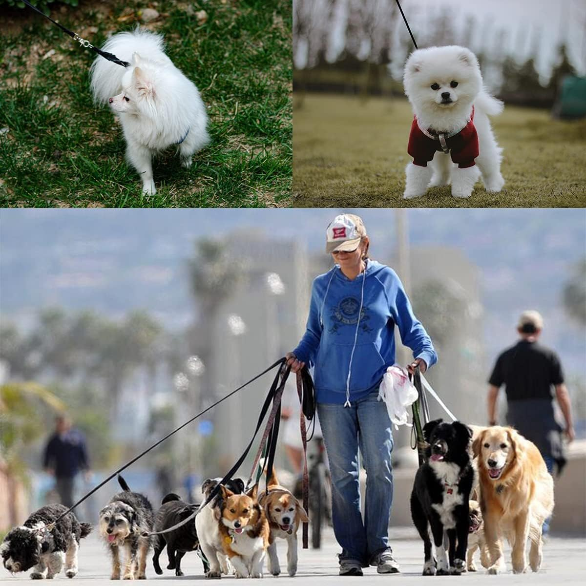 Medium Dog Leads 30M, Training Lead for Dogs with Padded Handle, Extra Long Line 30M Long Dog Leash for Recall Training, Tracking Leash for Dogs, Ideal for Yard, Lawn, Park, Beach, Obedience image number 1