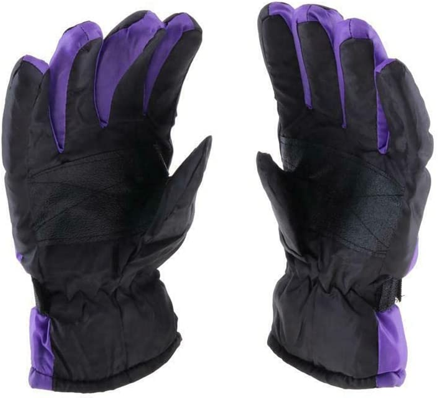 Apparel 2 Pairs Gloves Women Ultra Heat Retention Ski Thermal Lined Pink&Purple