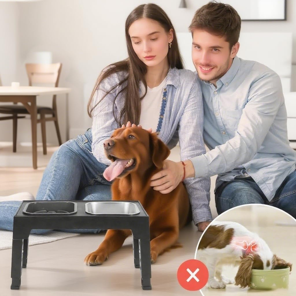 NOAEOU Adjustable Height Elevated Dog Feeding Station, 3-In-1 Set with 2 Stainless Steel Bowls & Slow Feeder Bowl - Ideal for Medium to Large Dogs | Promotes Healthy Posture & Joint Relief image number 5