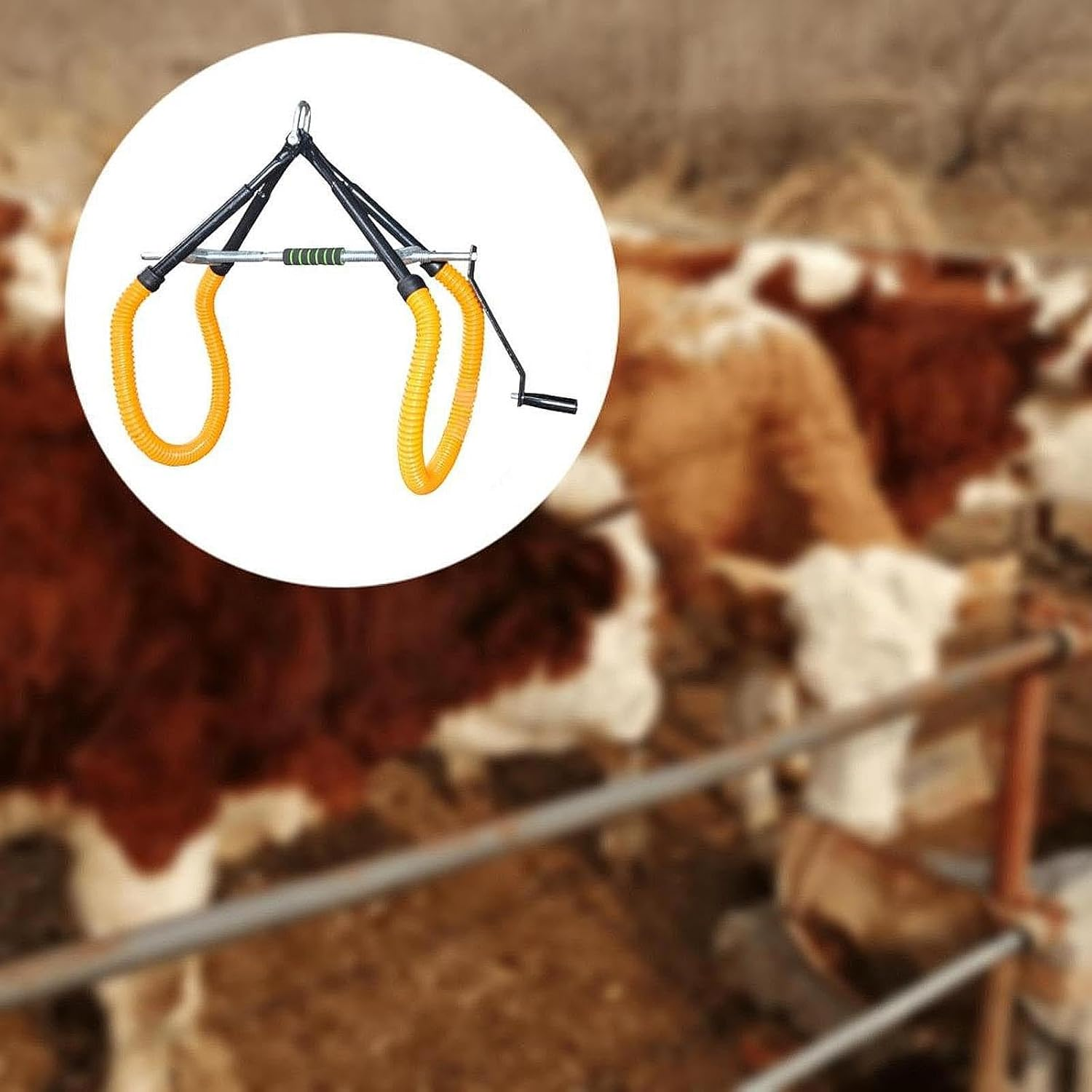 Adjustable Cow Lifter for Assisting Cattle with 1000Kg Capacity, Green - Green image number 4