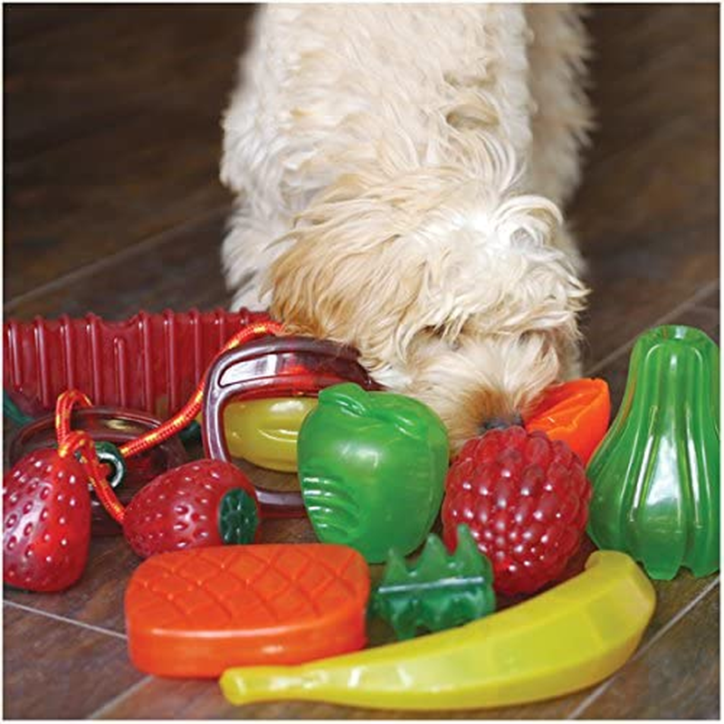 Rosewood 43001 Biosafe Orange Germsmart Dog Toy image number 1
