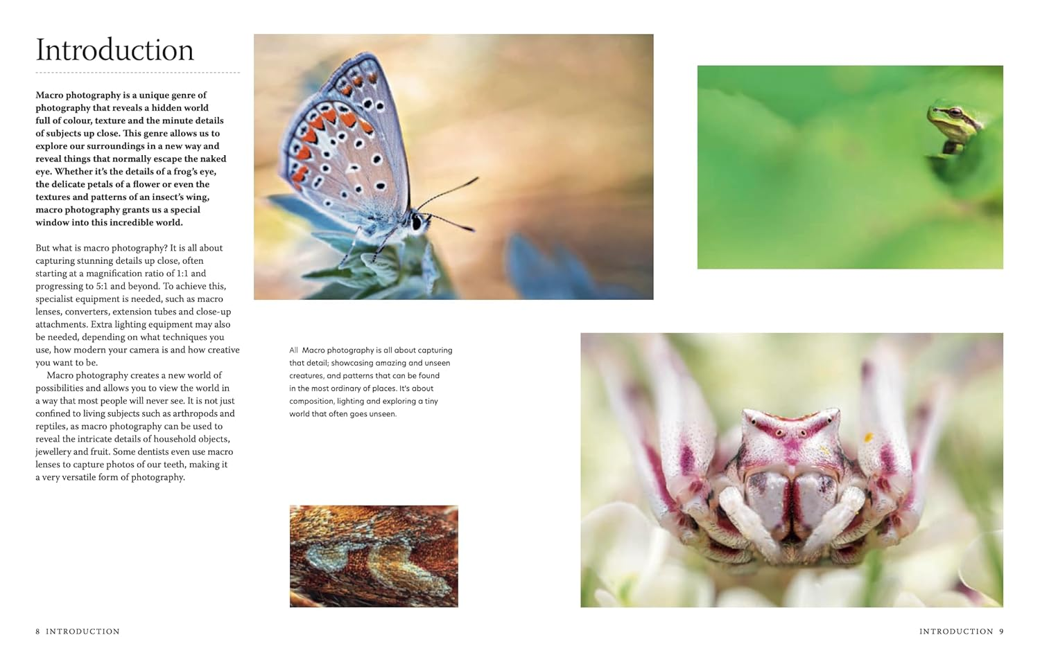 Close-Up: the Complete Guide to Macro Photography image number 2