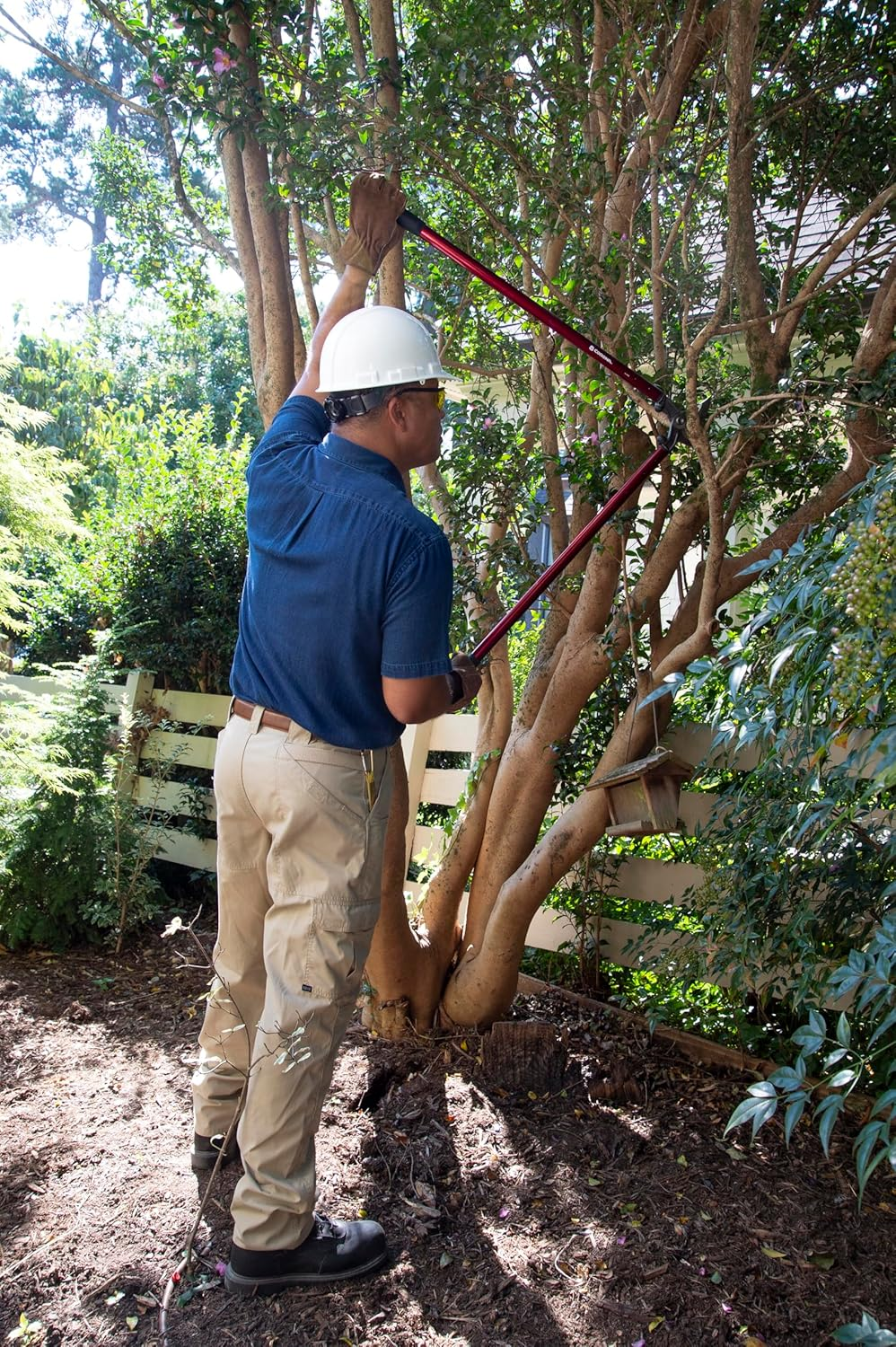 Corona Tools | 36-Inch Branch Cutter MAXFORGED Orchard Loppers | Tree Trimmer Cuts Branches up to 2 &frac14;-Inches in Diameter | AL 8482, Red image number 1