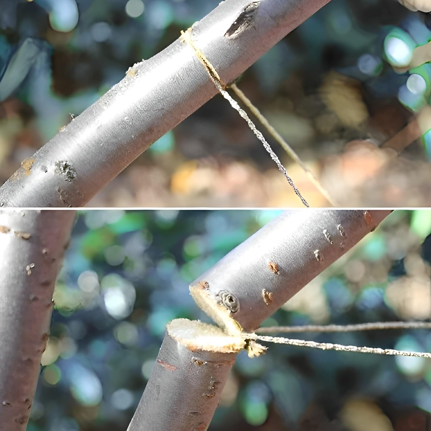 PVC Pipe Cable Saw Stainless Steel Wire Saw, 2Pcs Metal Wire Saw Emergency Survival Saw PVC Pipe Cable Saw,Hand Pocket String Rope Saw PVC Pipe Cable Saw,Pvc Pipe Cable Saw Stainless Steel Wire Saw image number 4