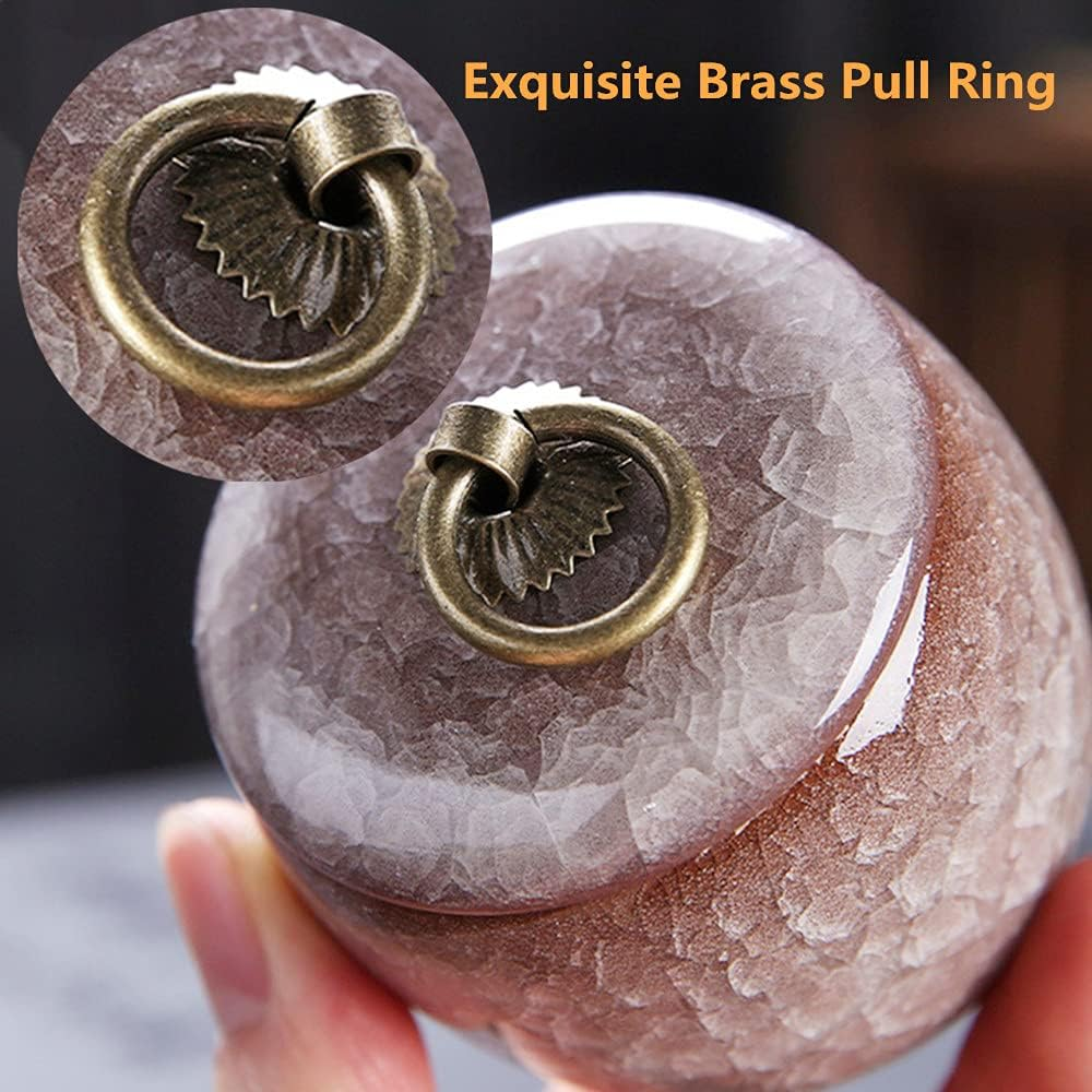 Vencede Handicrafted Ceramics Mini Pet Urns, Cremation Urns Ceramics Memorial Ashes Urn, Ashes Keepsake Memorial Ashes Holder, Pet Coffin, Dog Urn, Beautiful Ashes Keepsake, Sealed Ceramic (Beige) - Blue image number 3