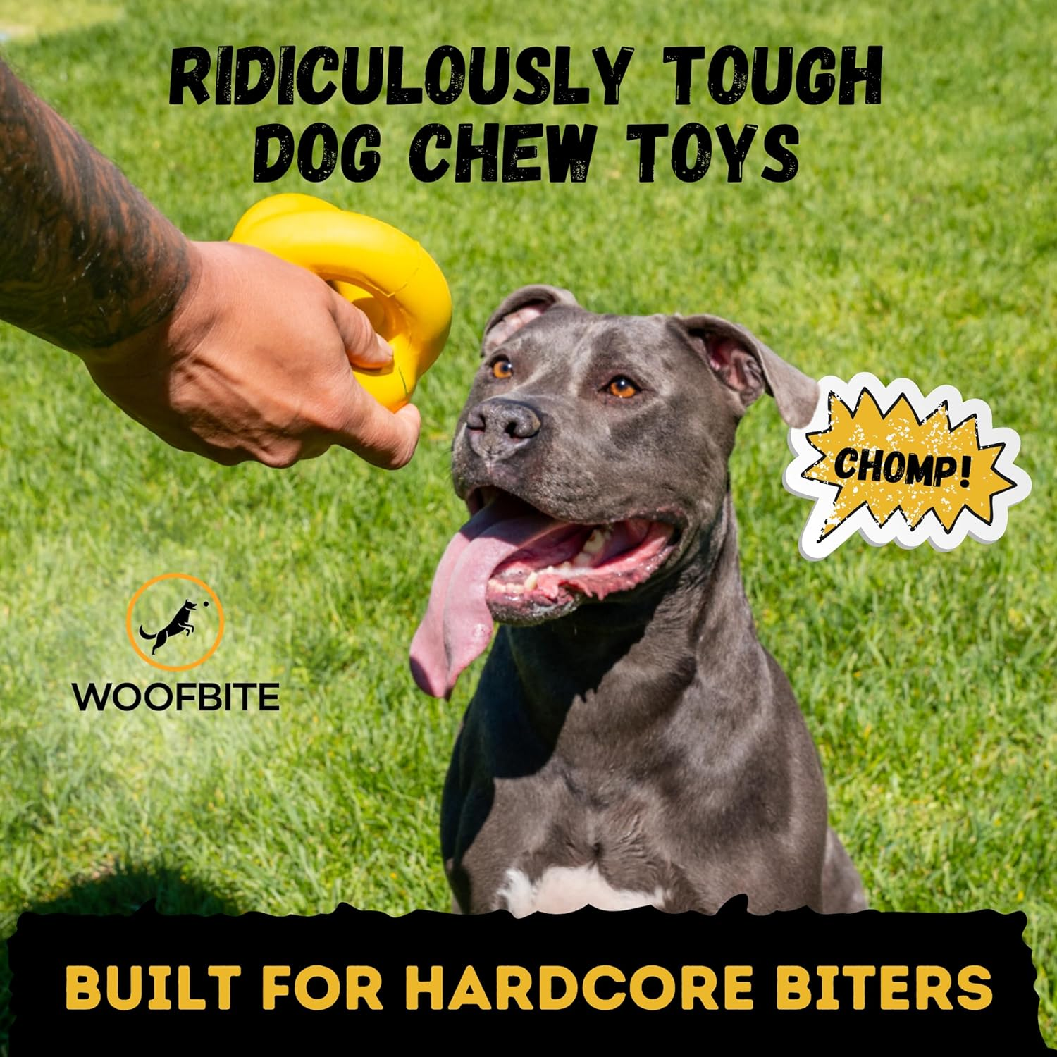 Woofbite&reg; Indestructible Tough Ring Ball for Dogs, Toy Destroyers & Aggressive Chewers - Durable, Heavy Duty Natural Rubber - Dog Chew, Tug & Fetch Toy for Medium & Large Breed Dogs image number 5