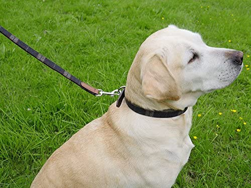 Rosewood Luxury Leather Tweed Check Dog Collar, Medium image number 5