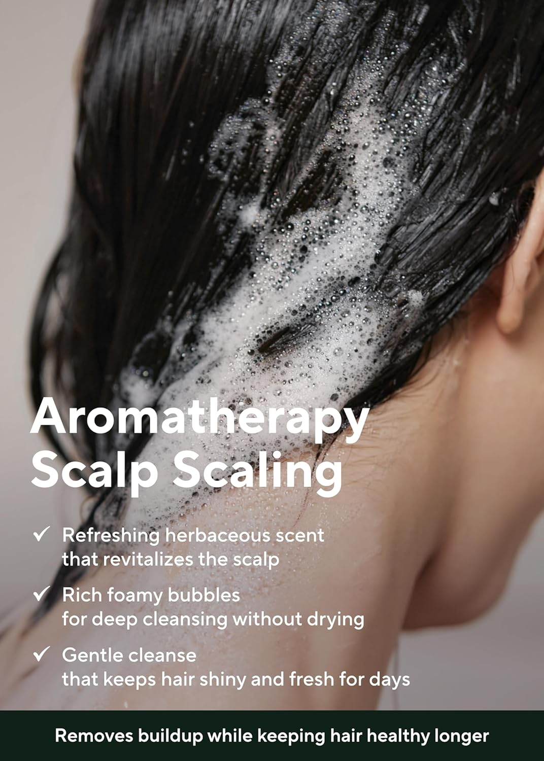 AROMATICA Tea Tree Purifying Shampoo, 1 Count image number 2