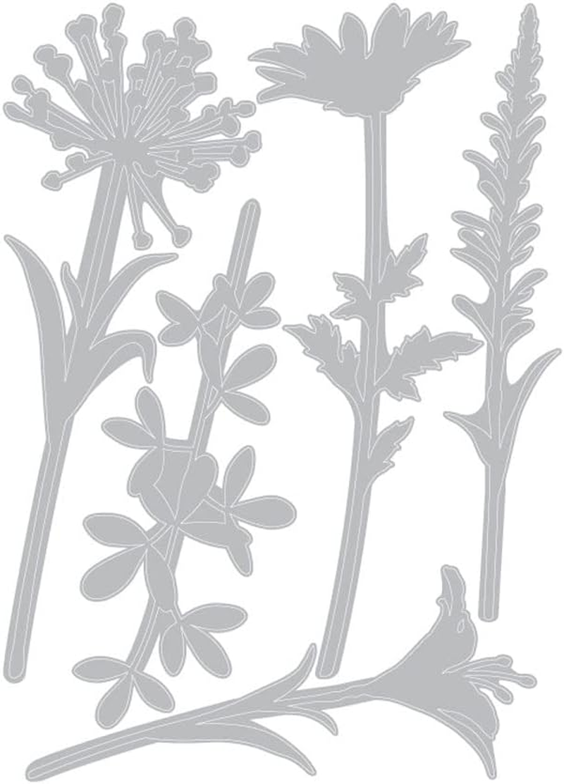 Sizzix Thinlits Die Set, Wildflower Stems #2 by Tim Holtz, 5 Pack, One Size, Multicolor 5 Piece image number 3