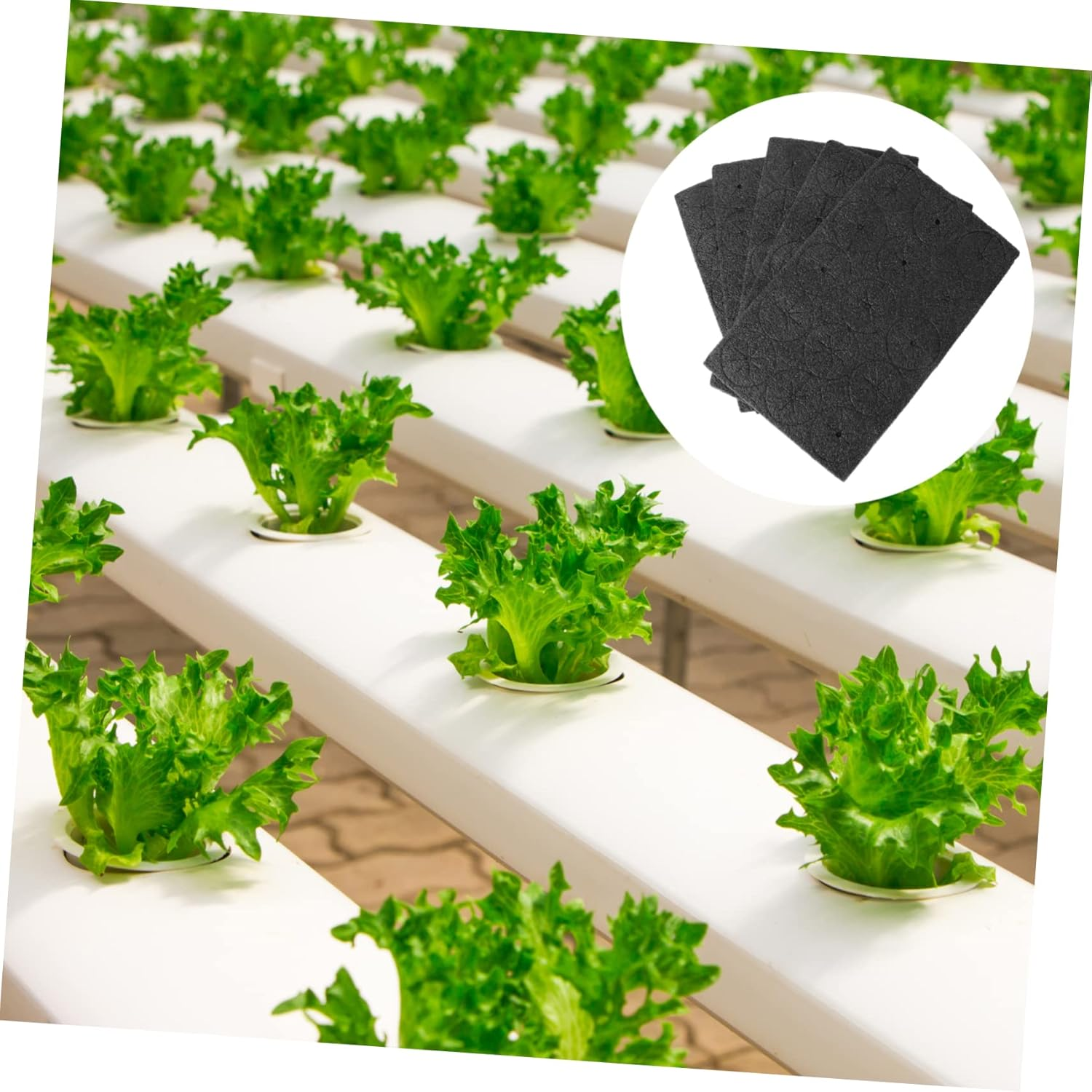BESPORTBLE 225Pcs Hydroponic Planter Sponge for Vegetable Cultivation Greenhouse Hydroponic Sponge Garden for Home Growing System image number 3