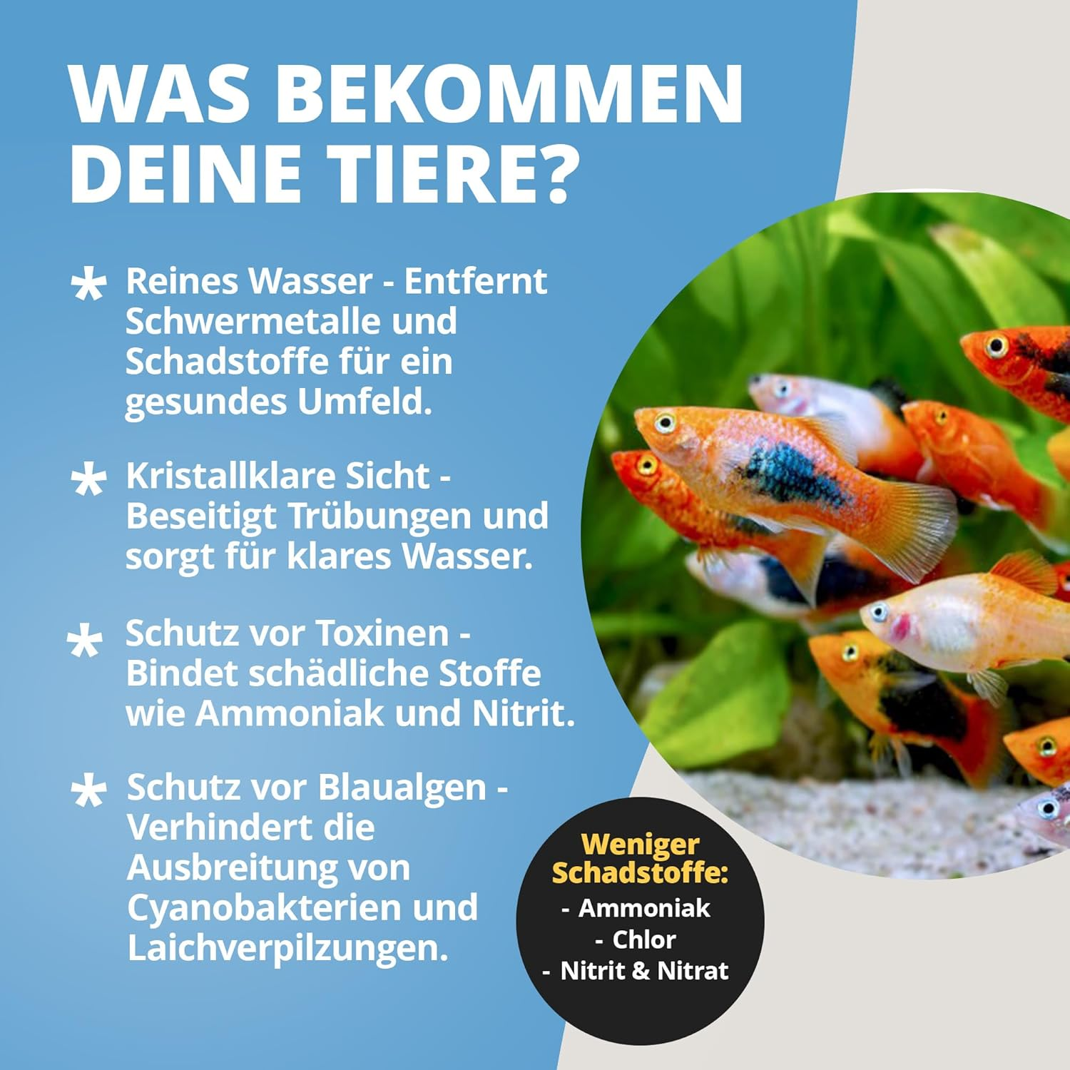 Natureholic - Crusta Toxex Liquid I Water Conditioner I Removes Organic Pollutants I Binds Heavy Metals I Makes the Water Crystal Clear I 125Ml image number 4