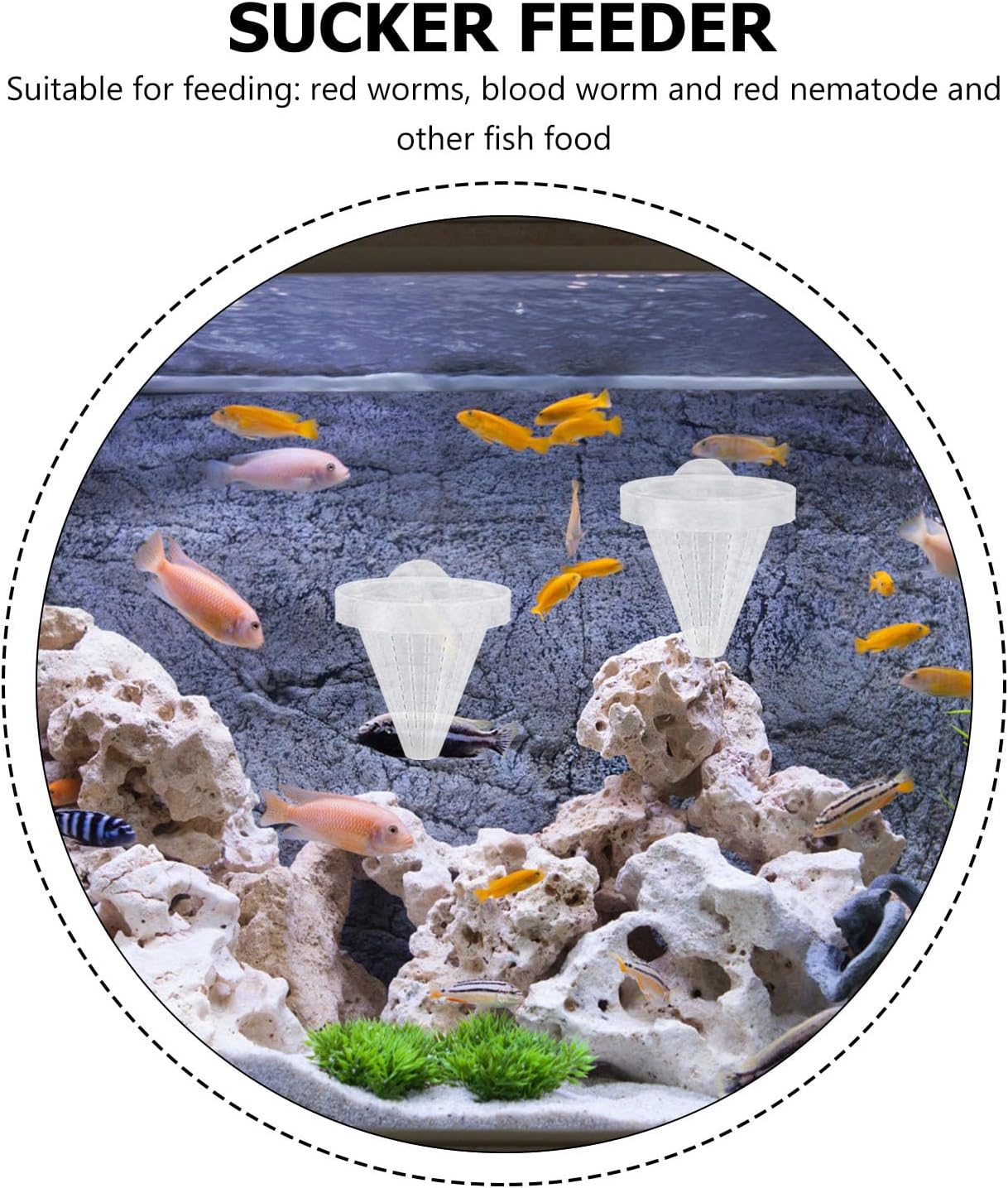 VANZACK 10Pcs Cone Worm Feeder Tank Cone Feeder Plastic Worm Feeding Cone Fish Feeder with Suckers image number 3