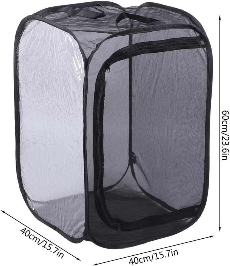 Insect Mesh Cage, Strong Visibility Durable Ventilated Insect Cage Foldable Reusable Smooth Zipper Large Space for Families for School Laboratory for Students