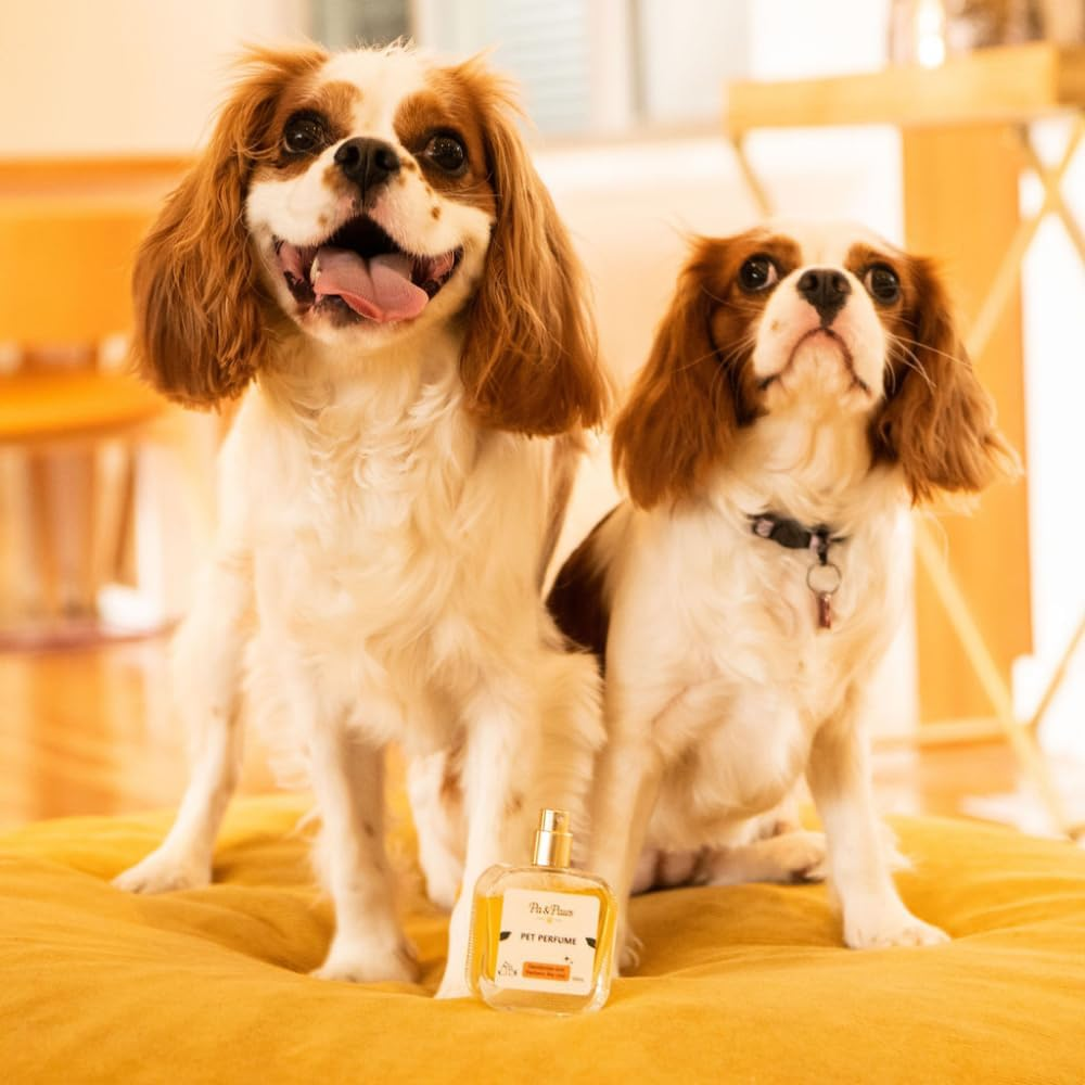 Pa & Paws Pet Perfume &ndash; Refreshing Coat Spray for Dogs & Cats (50Ml) image number 2