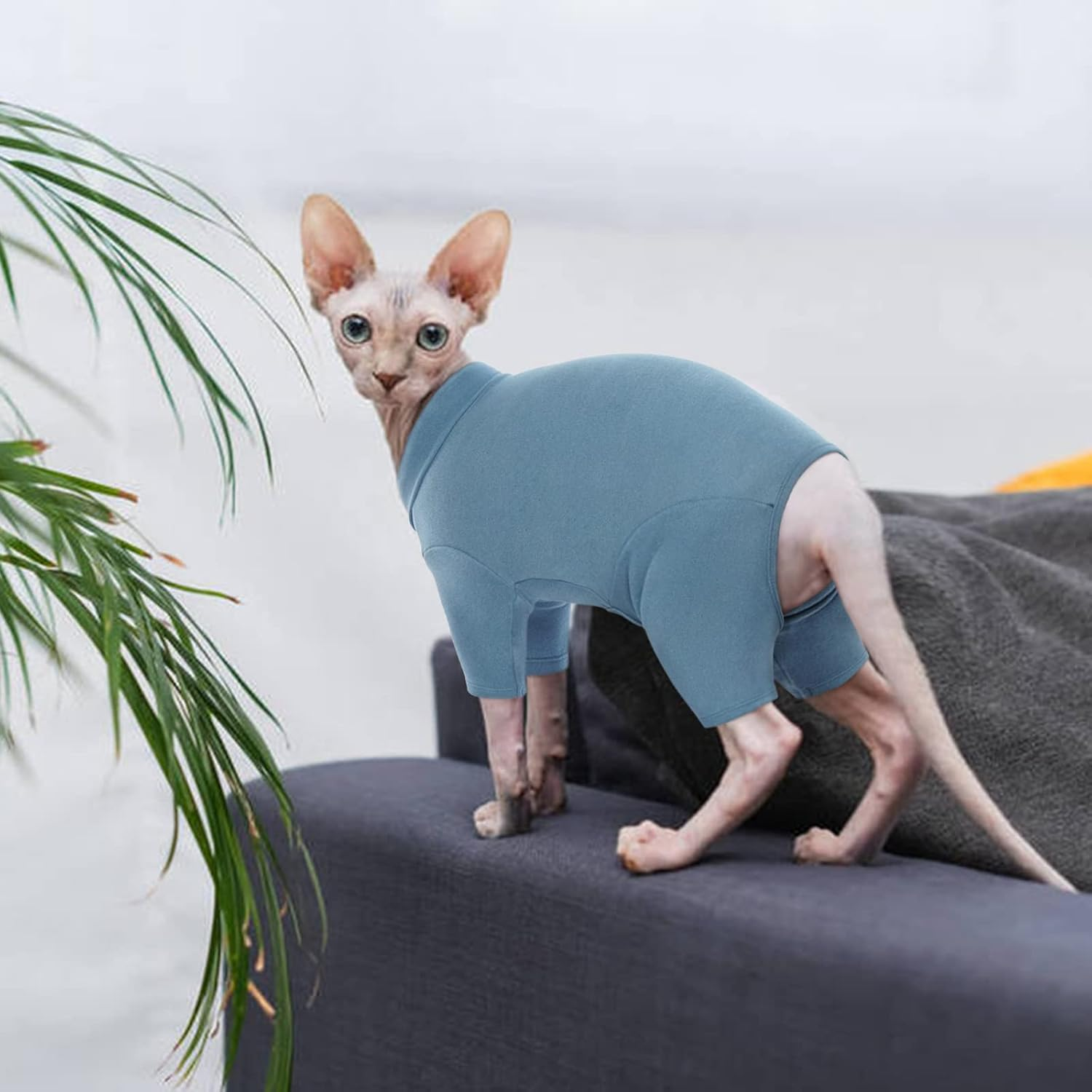 Hjyokuso Sphynx Cat Clothes, Breathable Soft Cat Jumpers for Cats Only, Cat Coat with Four Legs, Warm Cat Sweaters, Cat T-Shirt, Cat Pajamas Jumpsuit Vest for Sphynx, Cornish Rex, Devon Rex,Peterbald image number 6