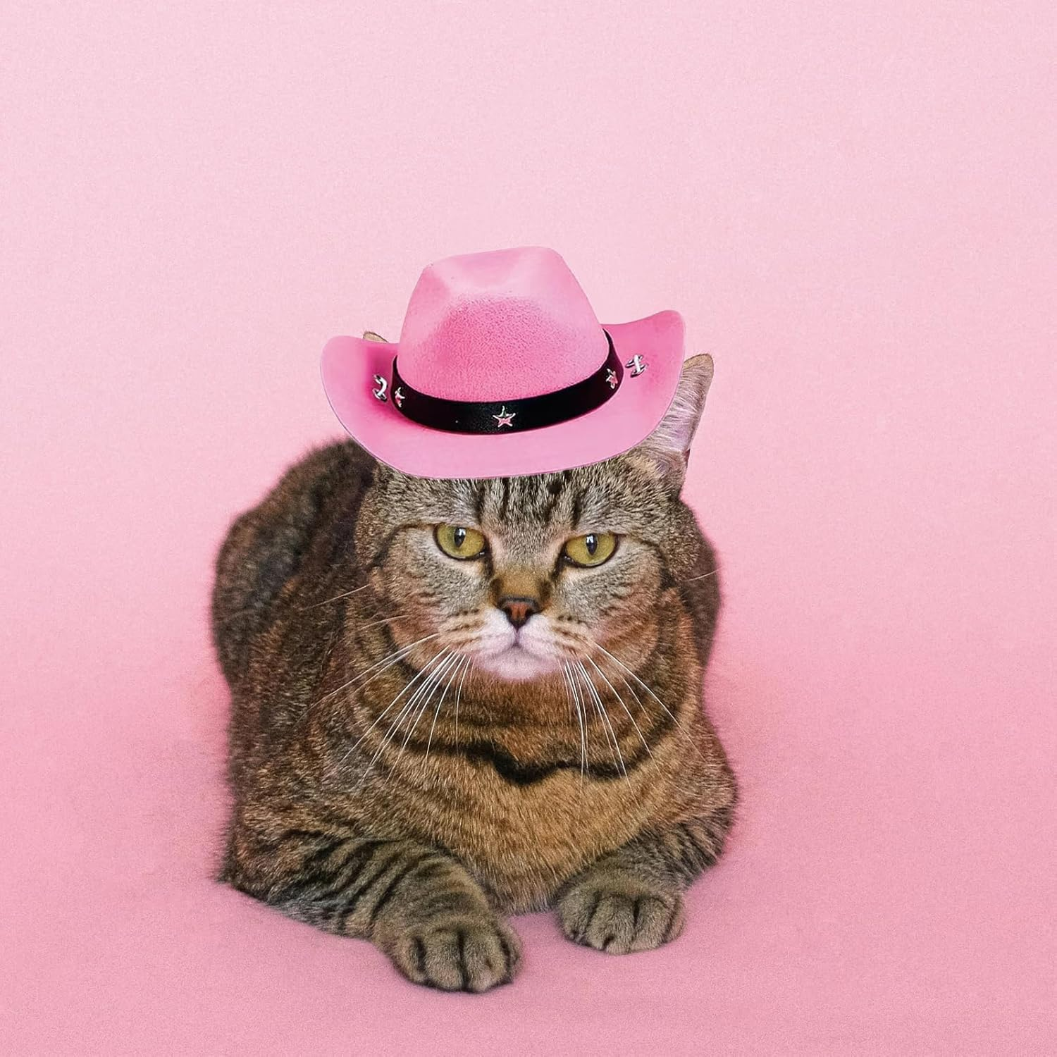 AWOCAN Pet Dog Costume Cowboy Hat Cosplay Cap Puppy Pet Dog Cat Holiday Pet Party Decoration (Pink) - Green image number 2