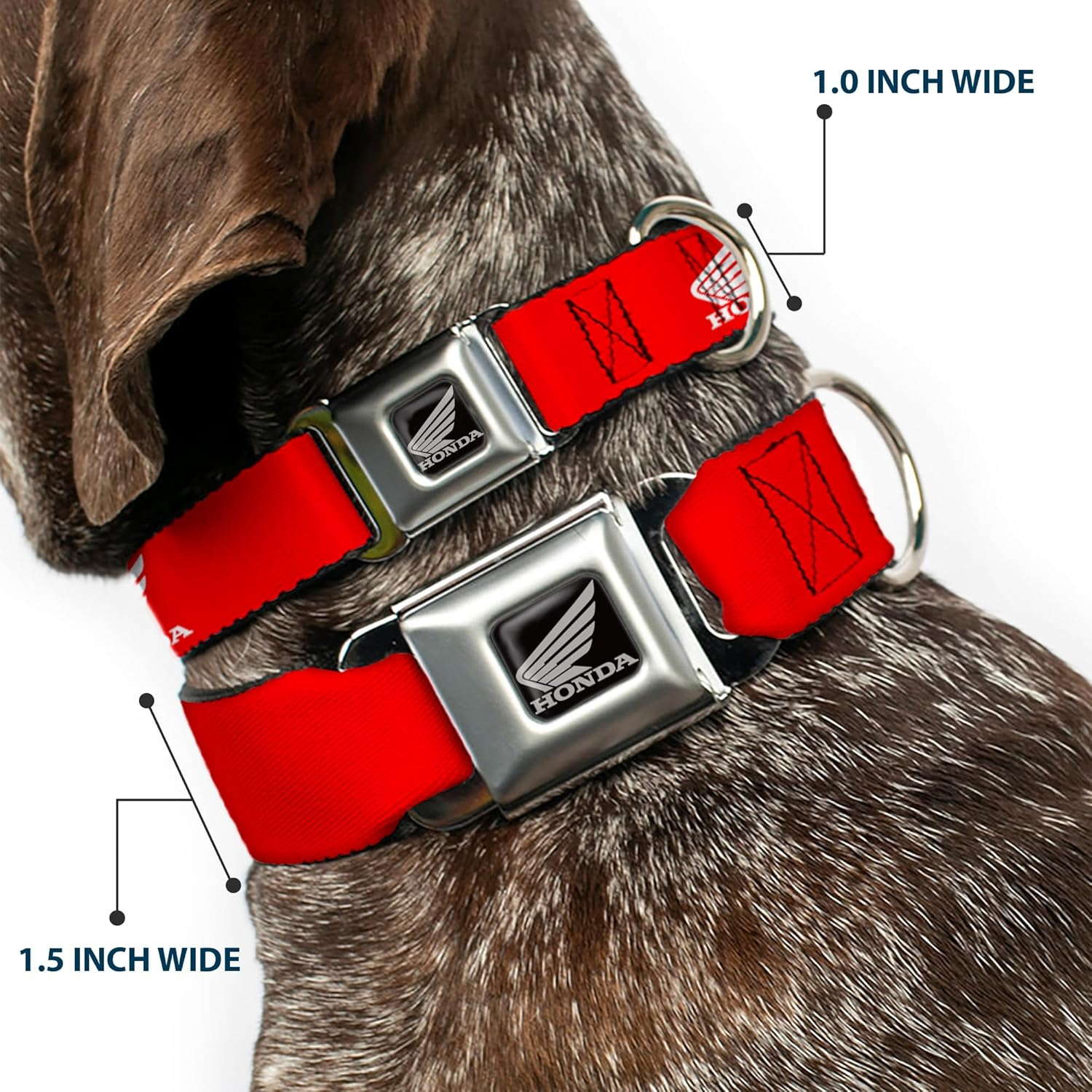 Dog Collar Seatbelt Buckle Honda Motorcycle Logo Red White 16 to 23 Inches 1.5 Inch Wide image number 3