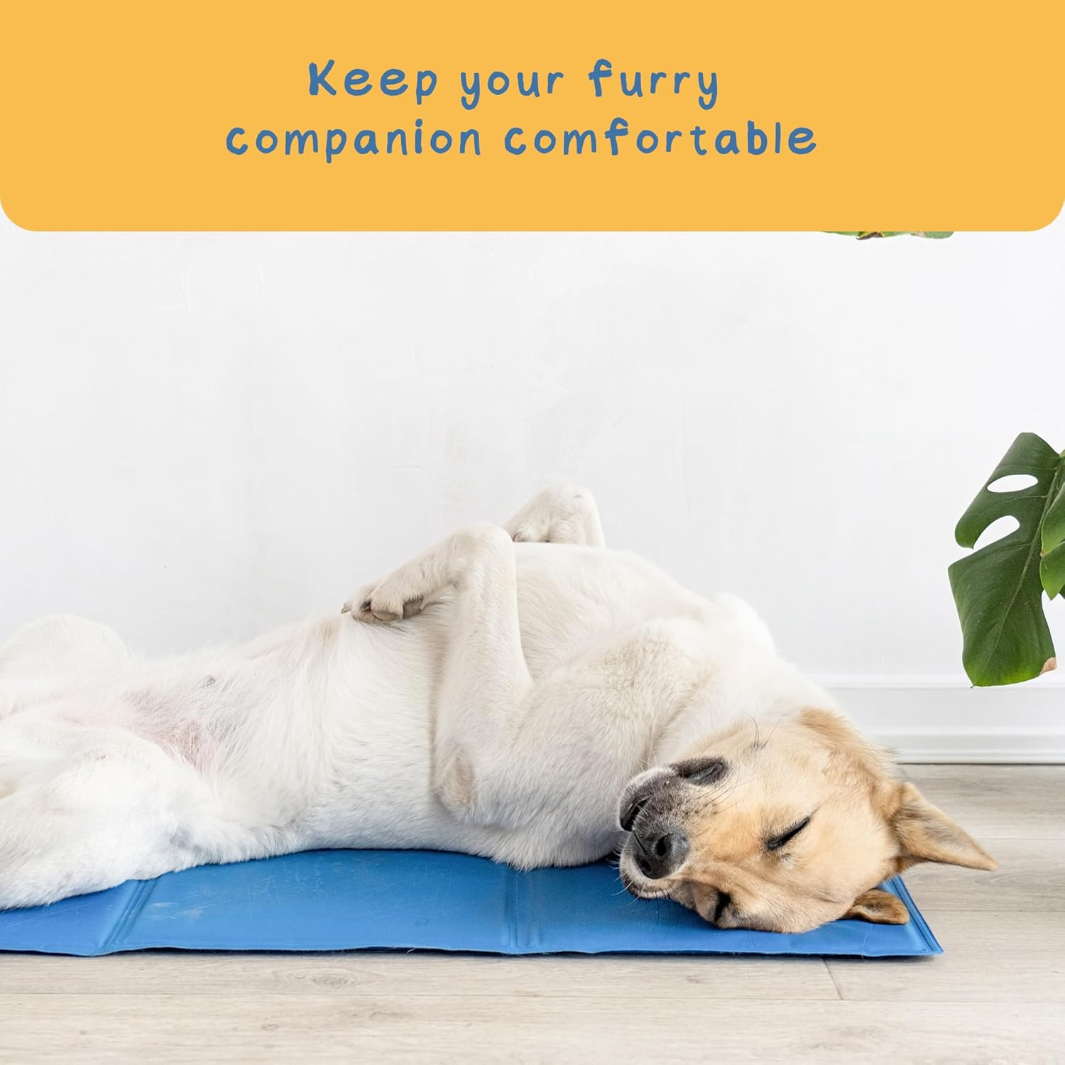 Paw Paws Self Cooling Dog Mat, Non-Toxic Summer Rectangular Cool Gel Pet Pad, Suitable for Crates, Kennels and Bed Medium 40X50Cm image number 3