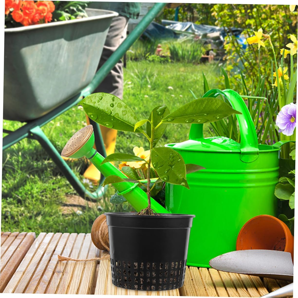 VINTORKY 12Pcs Decorative Planting Cups Garden Pots Plastic Net Pots Hydroponic Supplies Plant Baskets image number 5