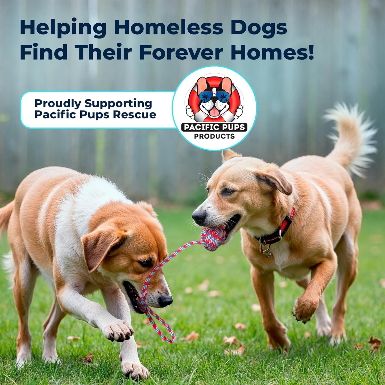 Pacific Pups 18 Piece Dog Toy Set - Plush, Rope & Chew Toys Support Non-Profit Dog Rescue image number 1