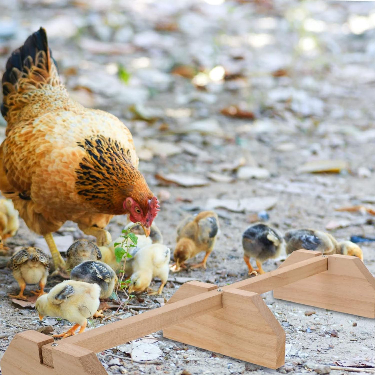 Hen Swing Stand - Strong Wooden Chicken Perch and Parrot Training Rack, Bird Accessories and Toys with Solid Wood Stick image number 6