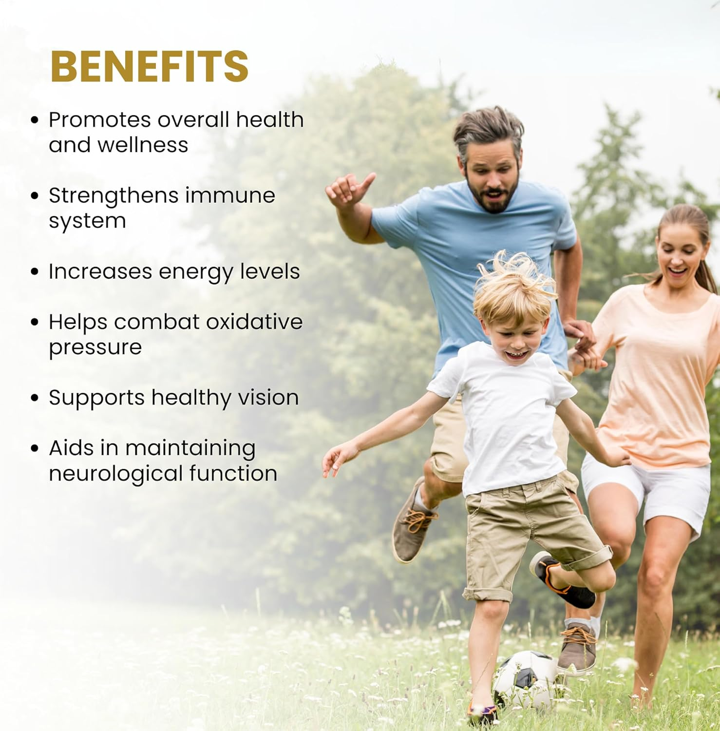 Healthy Care Family Multivitamin Chewable Tablets - Complete Daily Nutritional Support - Premium Dietary Supplement - All-Natural Ingredients - 200 Tablets image number 3