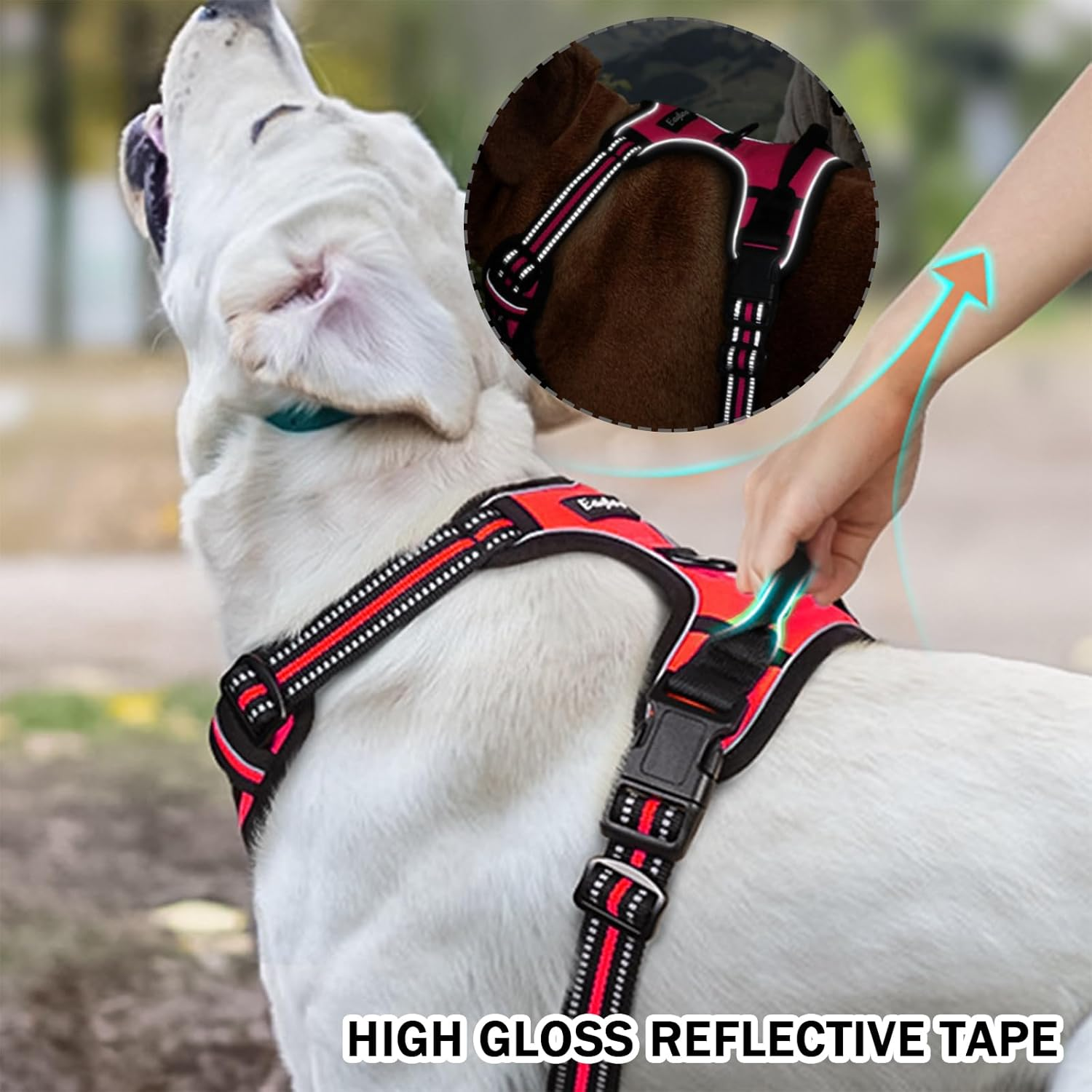 DKDDSSS Dog Harness Large Dog No Pull Pet Harness Dog Vest Harness, Adjustable Soft Padded Pet Vest Harness, Y Shaped Harness, Dog Harness, Easy Control Handle for Training or Walking, L image number 1