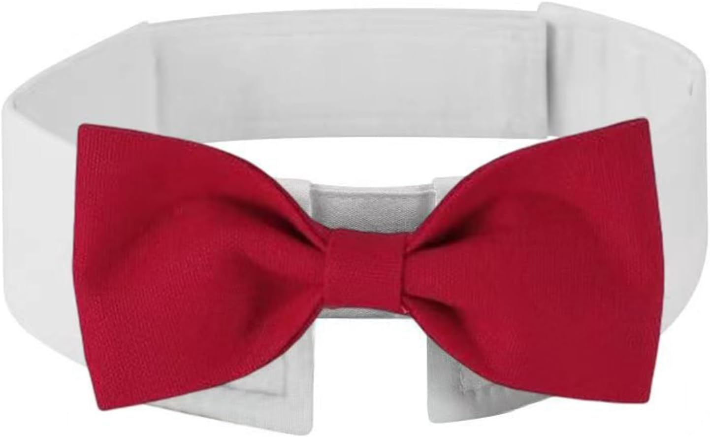 XUNQUCOM Pet Bow Tie Collar for Cats & Dogs (Black-L)